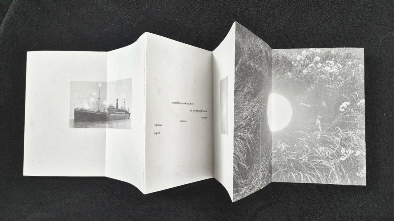 Воркшоп по книге-лепорелло с 1 июля. Самоорганизация Низина