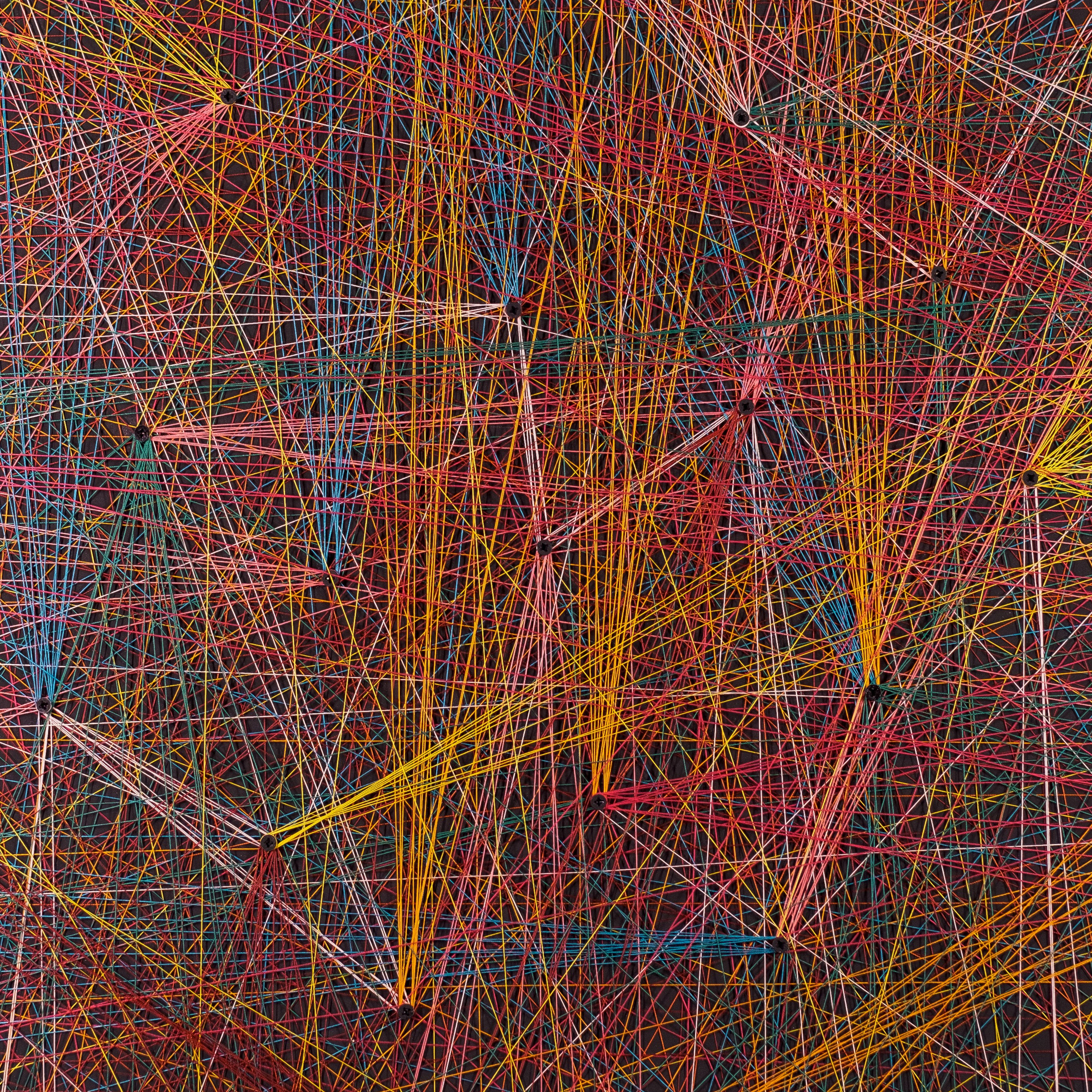 КАРТИНЫ. ANNSENSUS