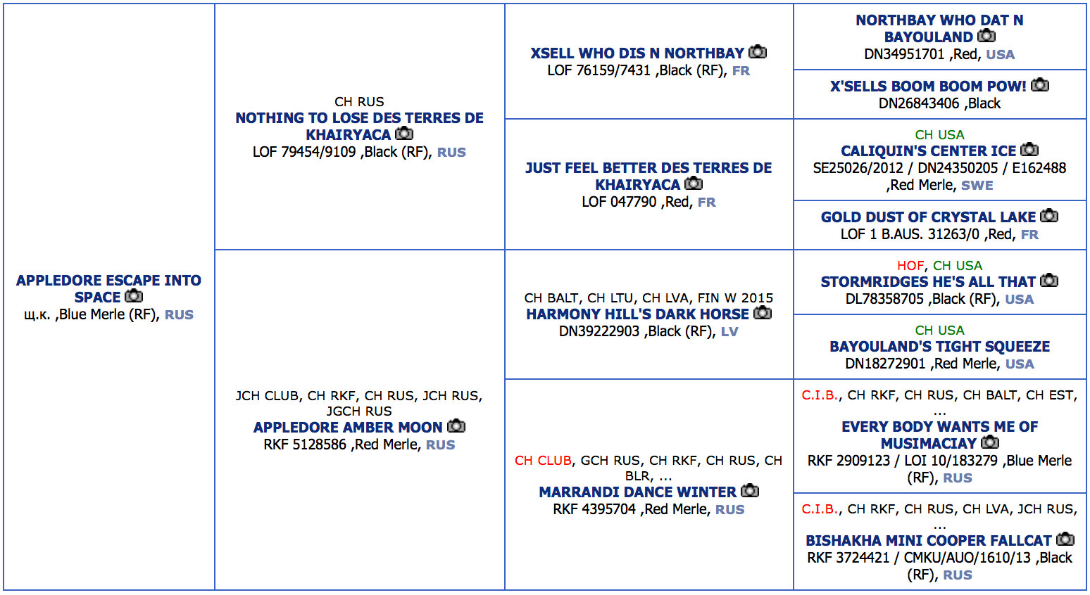 ПРАДА. Питомник австралийских овчарок «APPLEDORE»