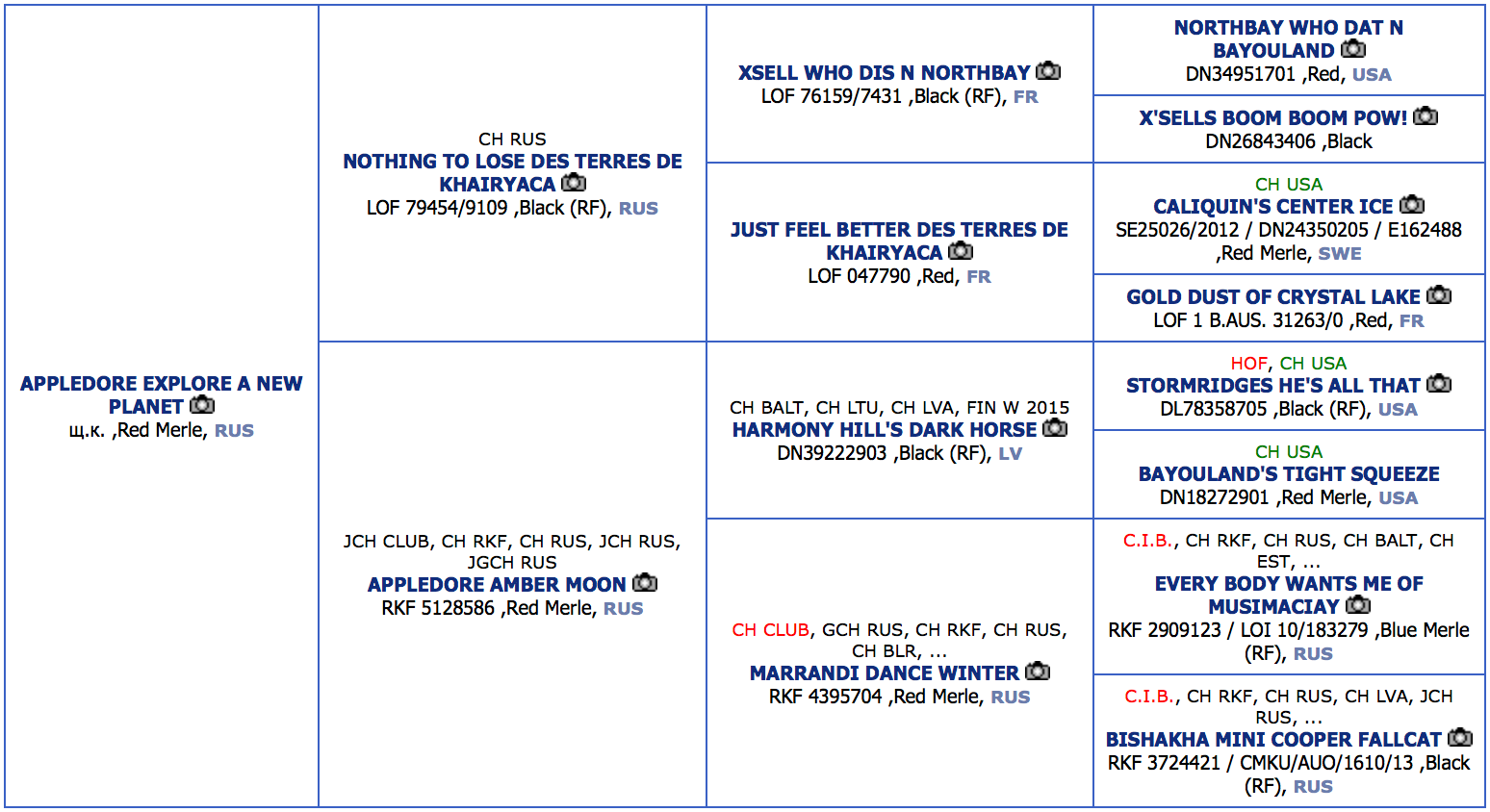 КАМИ. Питомник австралийских овчарок «APPLEDORE»
