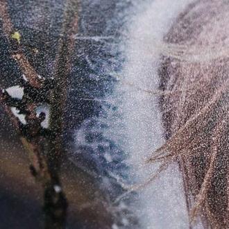 Фотокниги полиграфические. Photographer in Serbia Azaliia Fomina