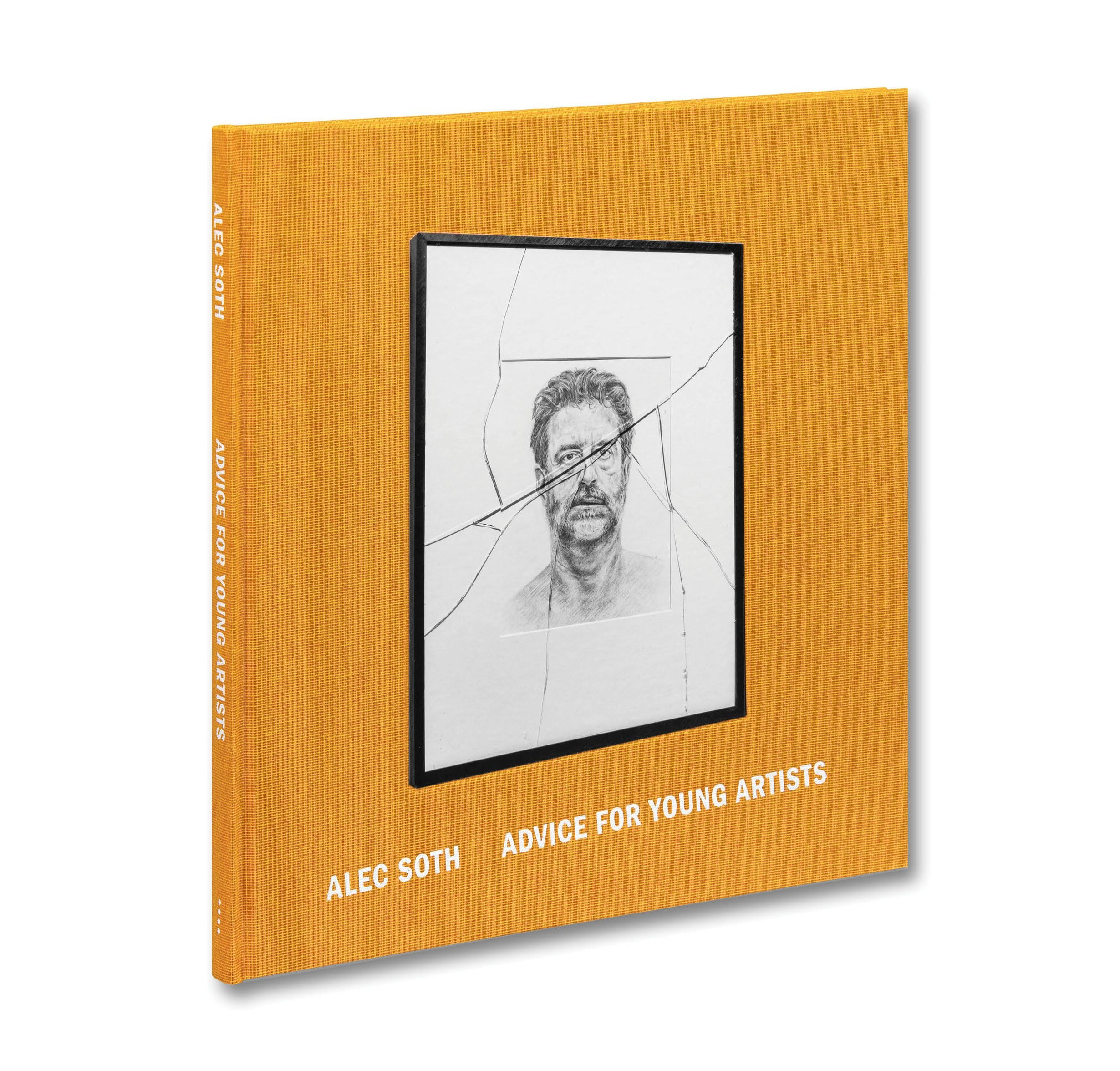 ОБЗОР АКТУАЛЬНЫХ ФОТОКНИГ: СОВЕТ МОЛОДЫМ ХУДОЖНИКАМ. Самоорганизация Низина