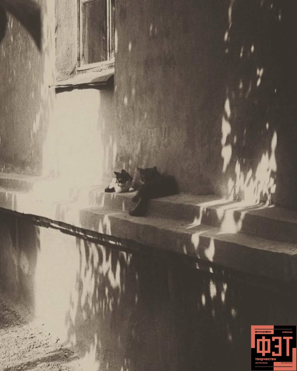 Альбом 18.01.26 проект ФЭТ