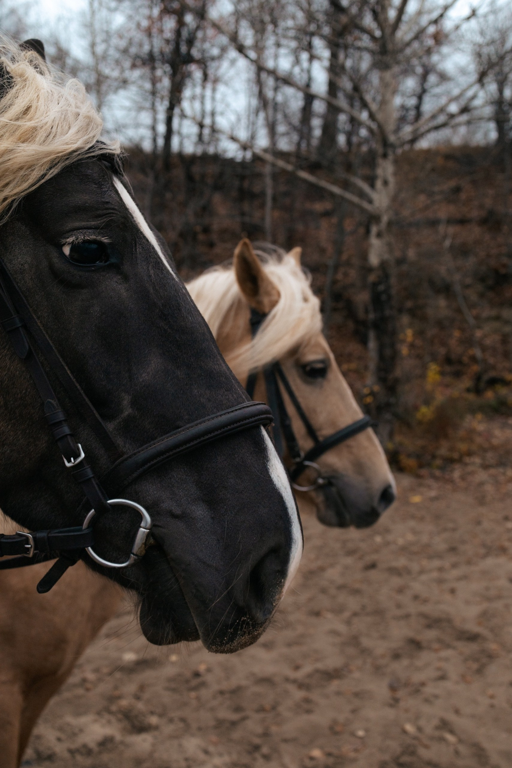 Фотограф в Самаре Женя Шулепова