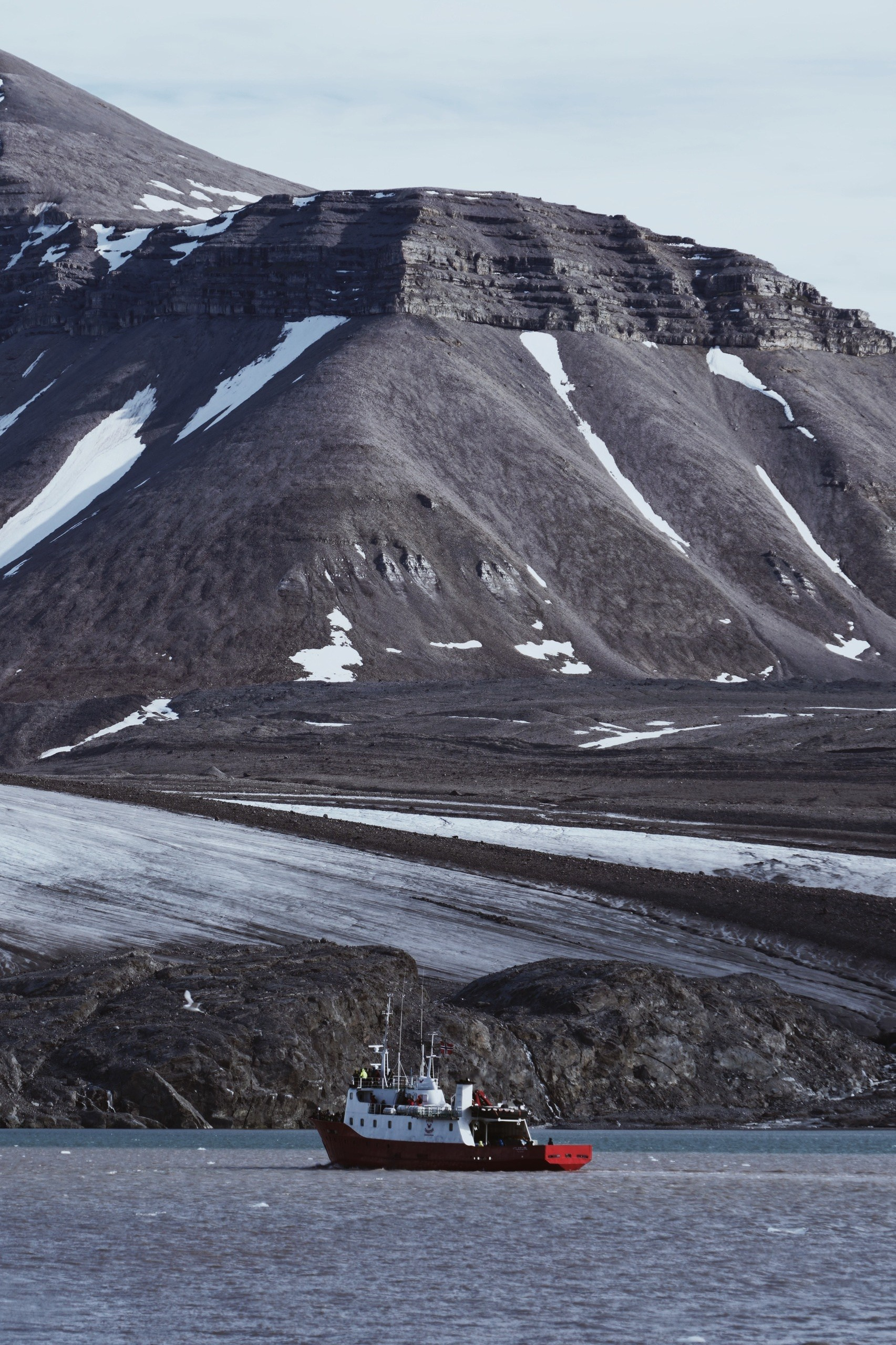 Экспедиция на Шпицберген (07.08.25 — 20.08.25). Фотограф Константин Шамин