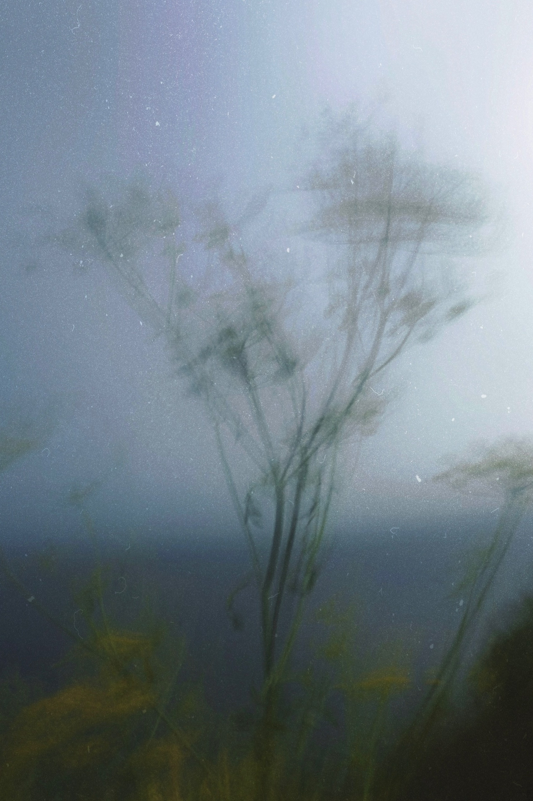 Фотоальбом: Алхимия Жизни. VITA · visual therapy arts