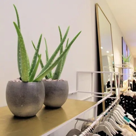 Планировочное решение. Интерьер салона одежды. Ритейл.