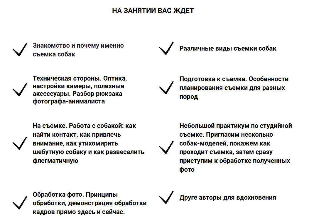 Приглашаю на лекцию о фотосъёмке собак!. Фотограф-анималист Natalia Deingel | Фотосъемка собак в Москве
