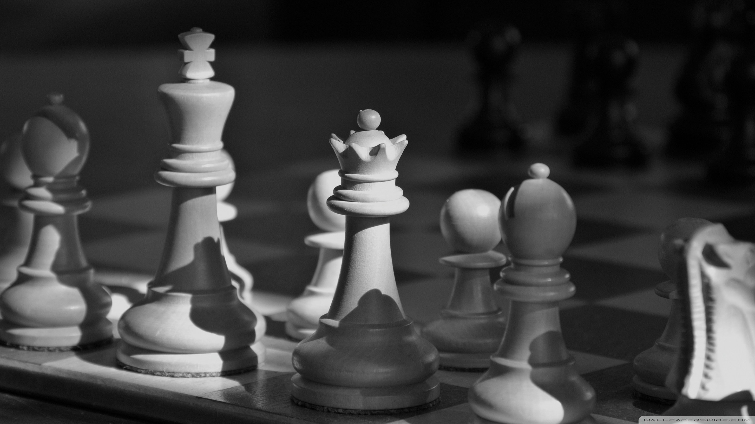 Фото дня и радио. Фотограф на все случаи жизни: свадьбы, портреты, семейные и творческие съемки в Башкирии и городах региона