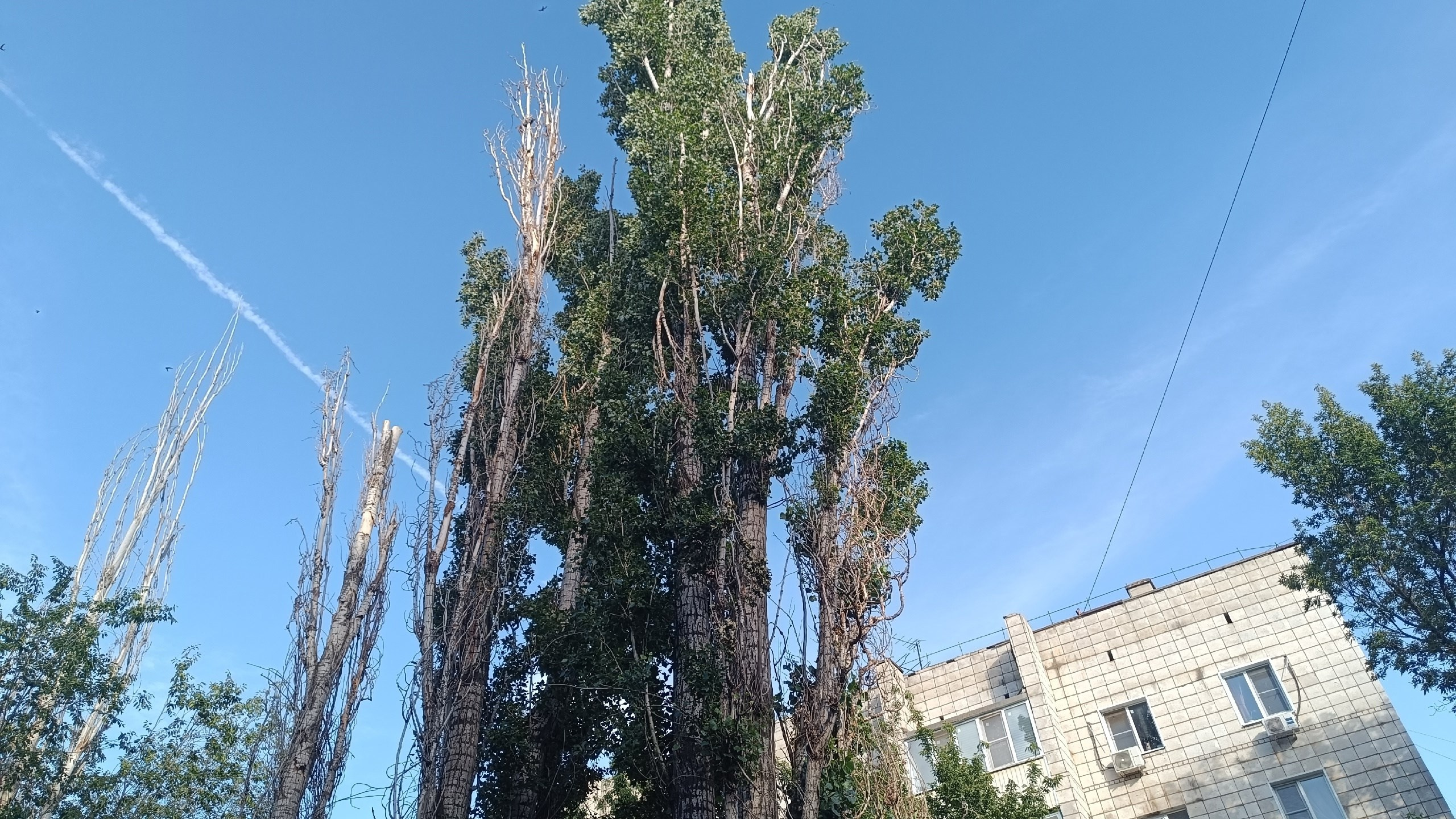 Читальный зал. Марина Рыбкина — Глубинная психология