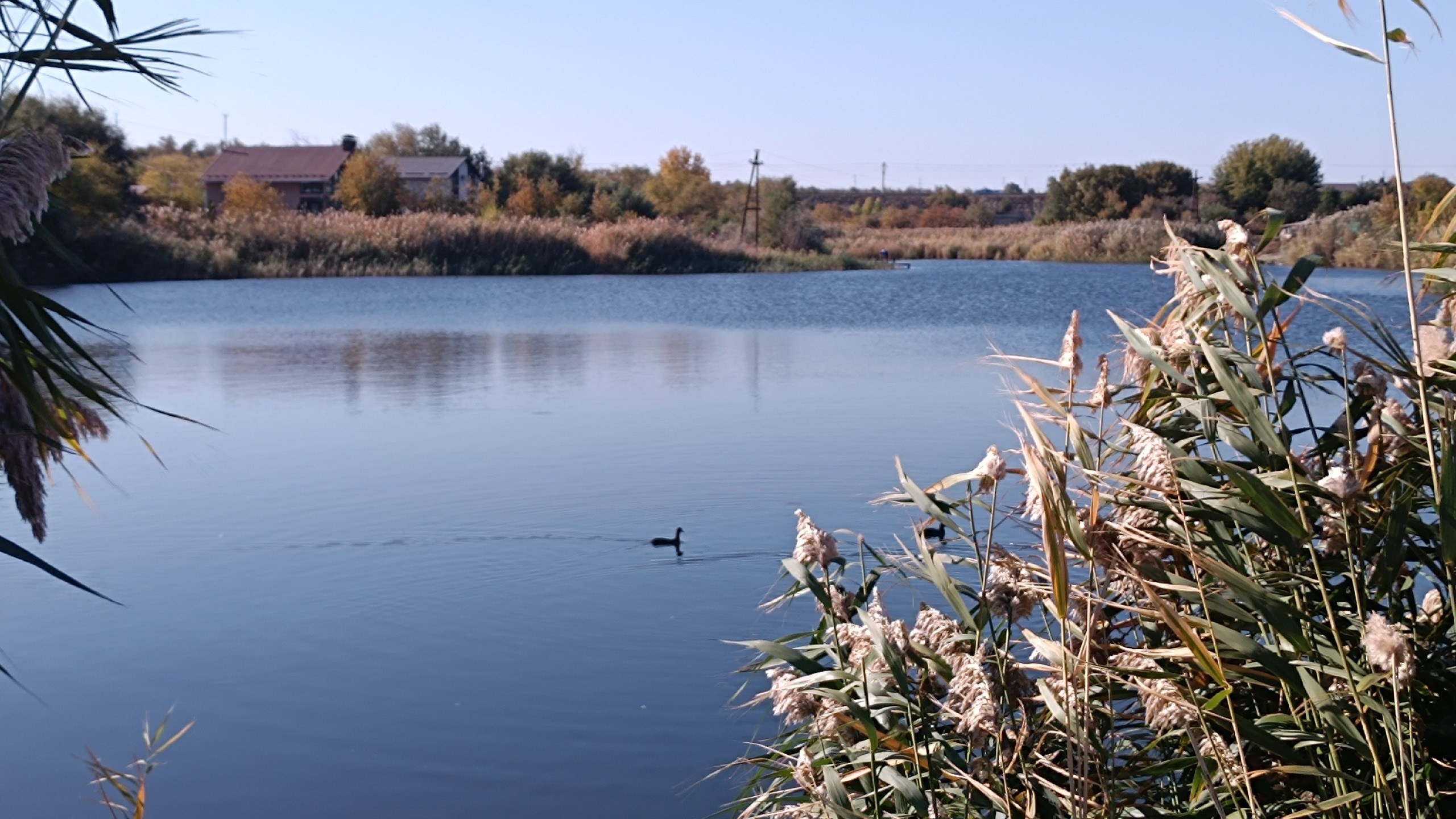 Читальный зал. Марина Рыбкина — Глубинная психология