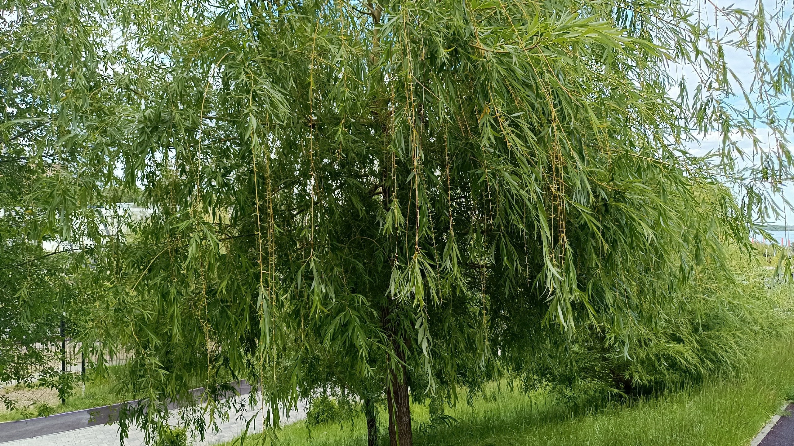 Читальный зал. Марина Рыбкина — Глубинная психология