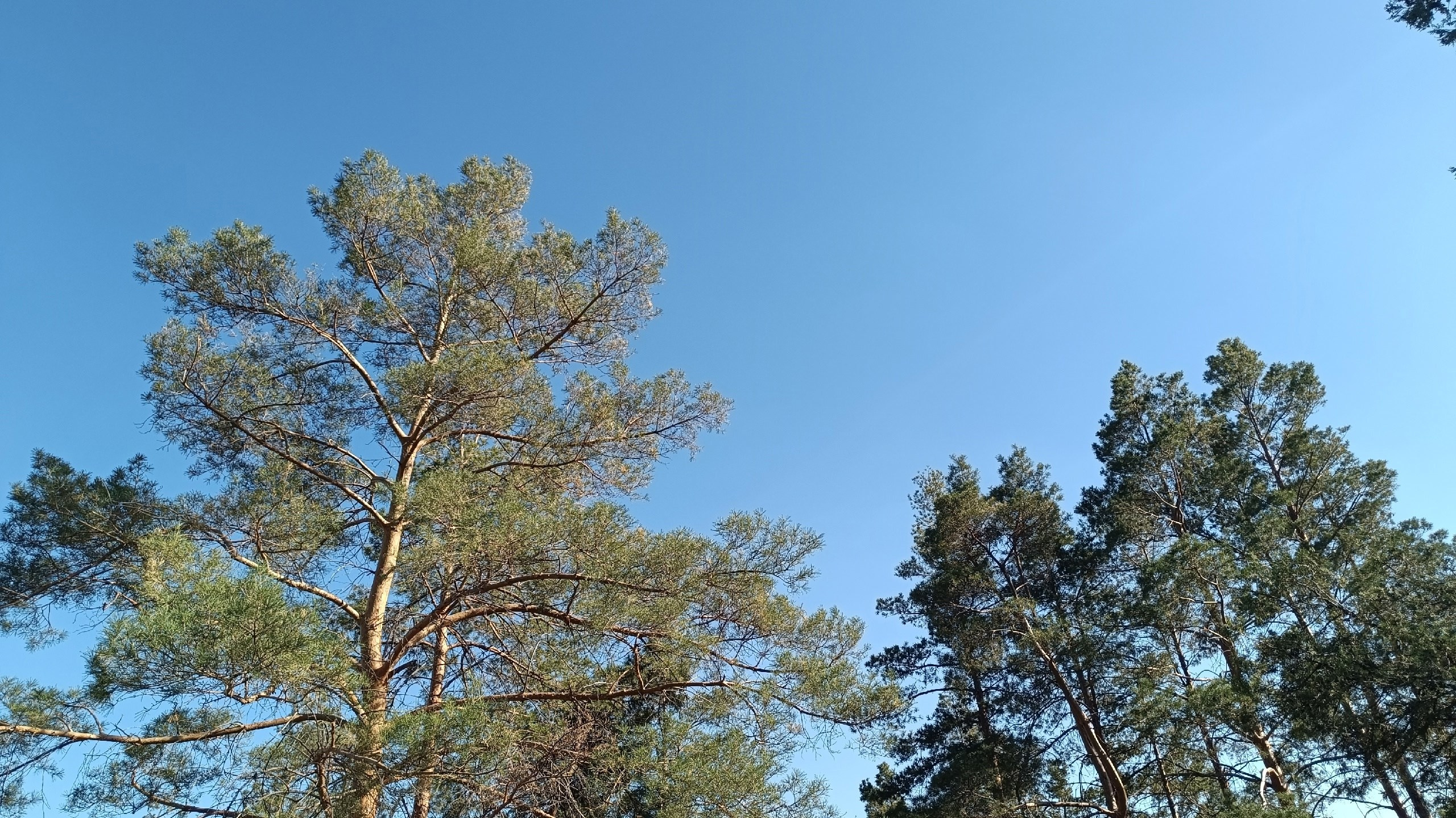 Читальный зал. Марина Рыбкина — Глубинная психология