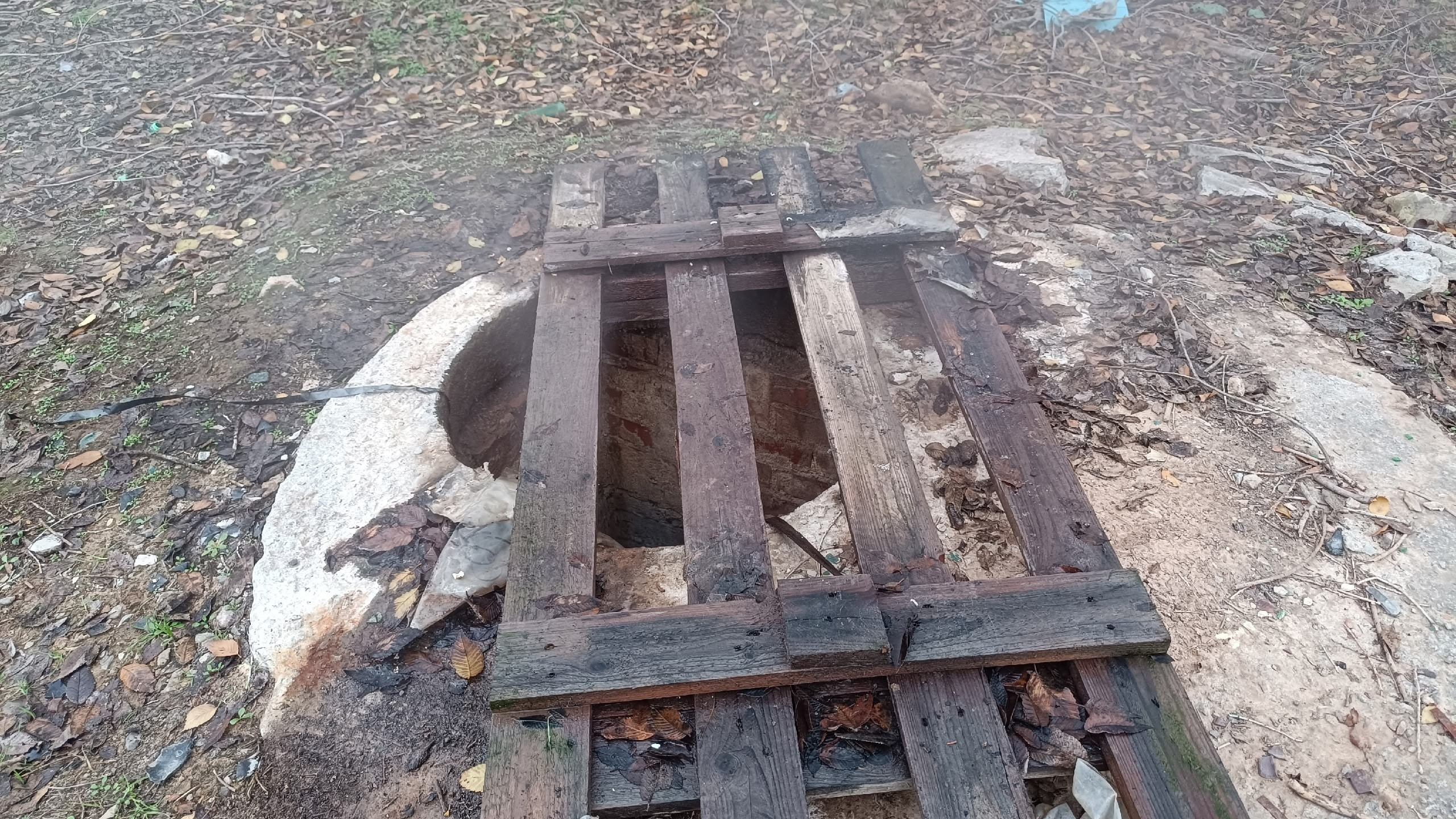 Читальный зал. Марина Рыбкина — Глубинная психология