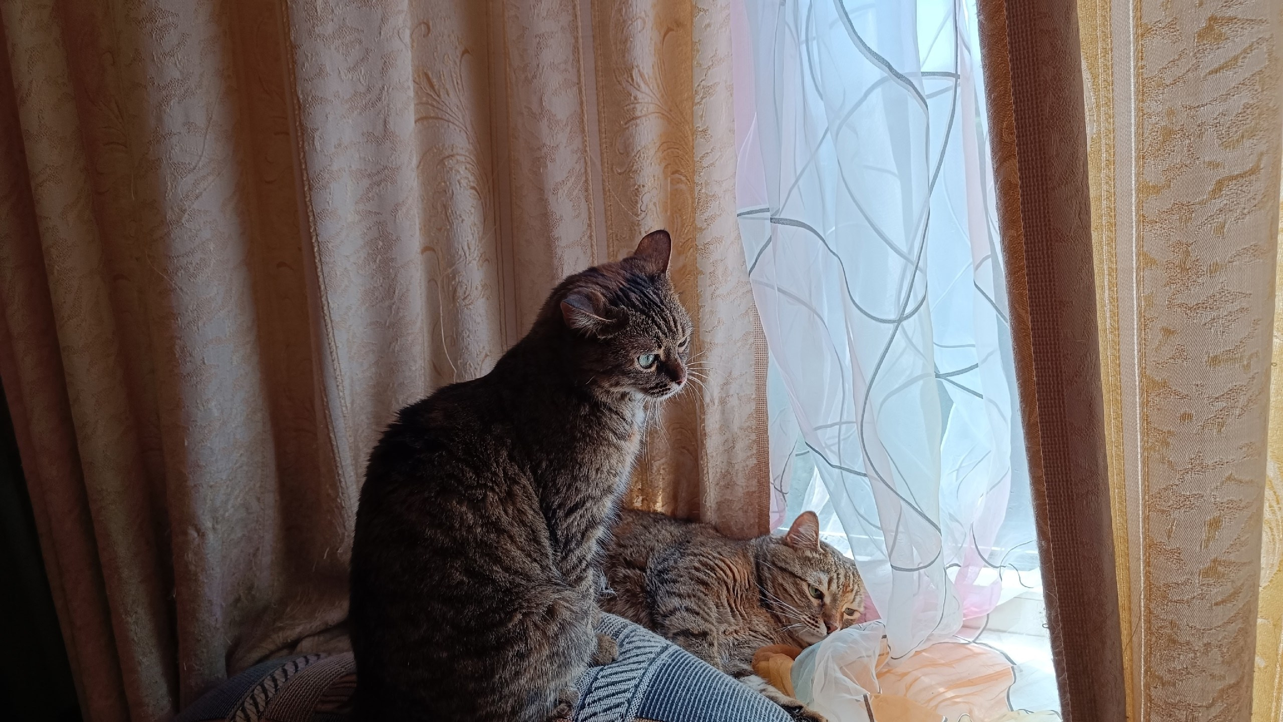 Читальный зал. Марина Рыбкина — Глубинная психология