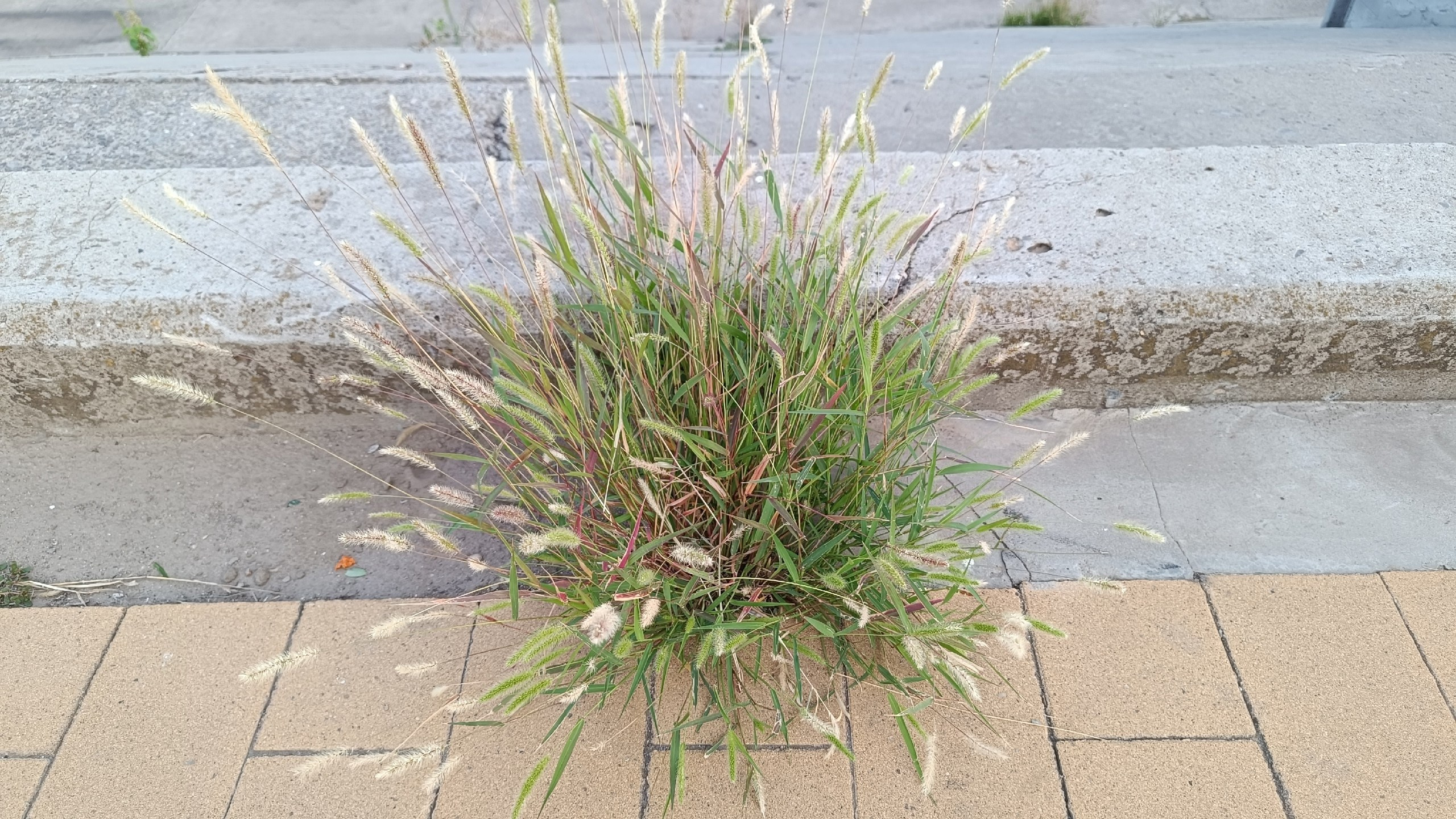 Читальный зал. Марина Рыбкина — Глубинная психология