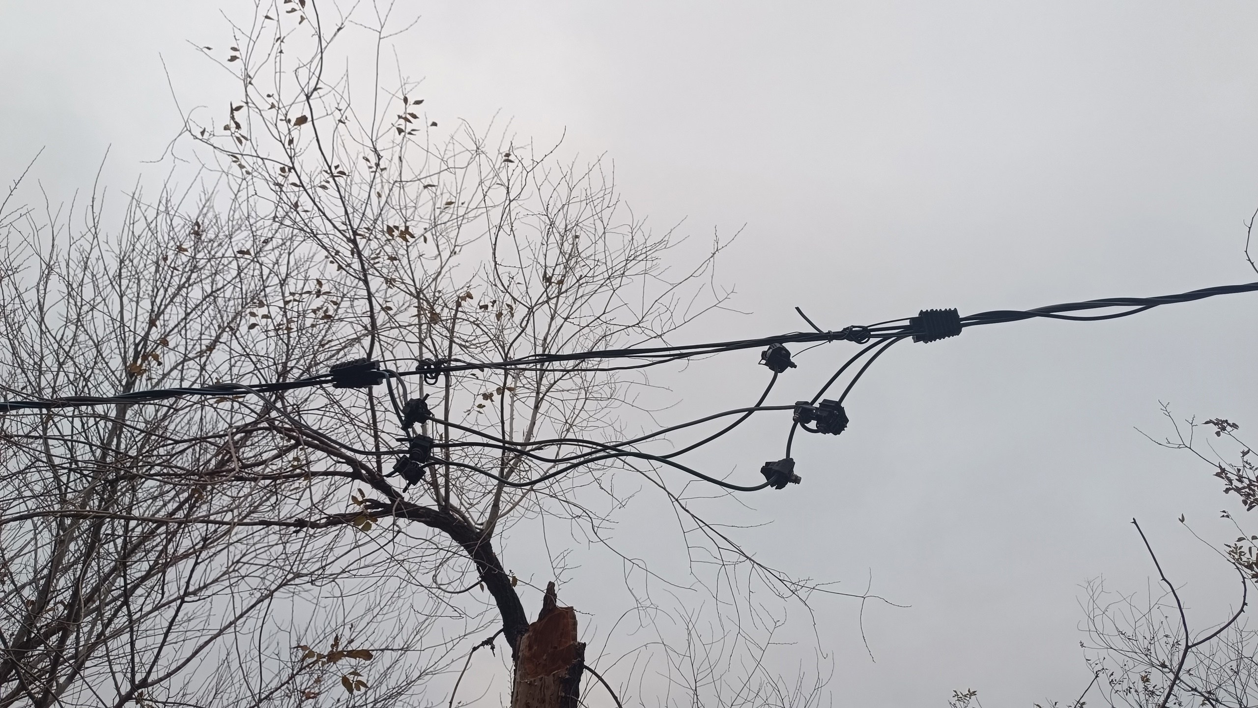 Читальный зал. Марина Рыбкина — Глубинная психология