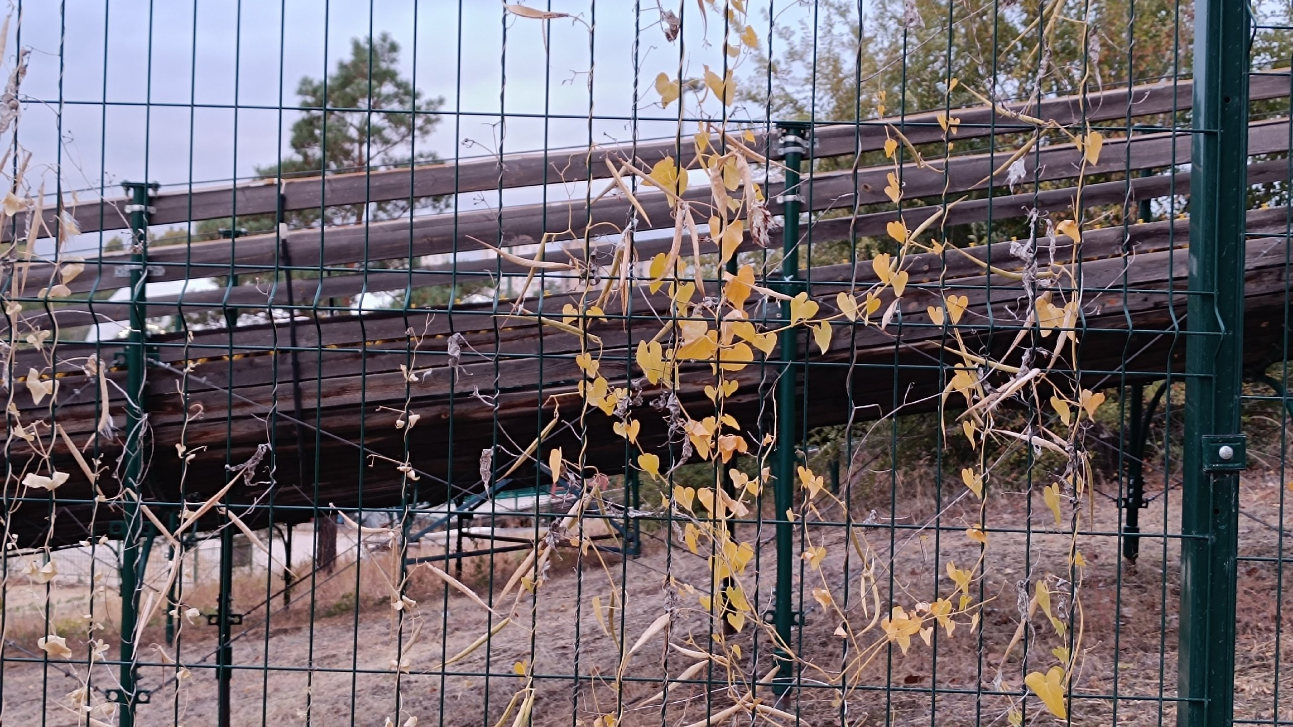 Читальный зал. Марина Рыбкина — Глубинная психология