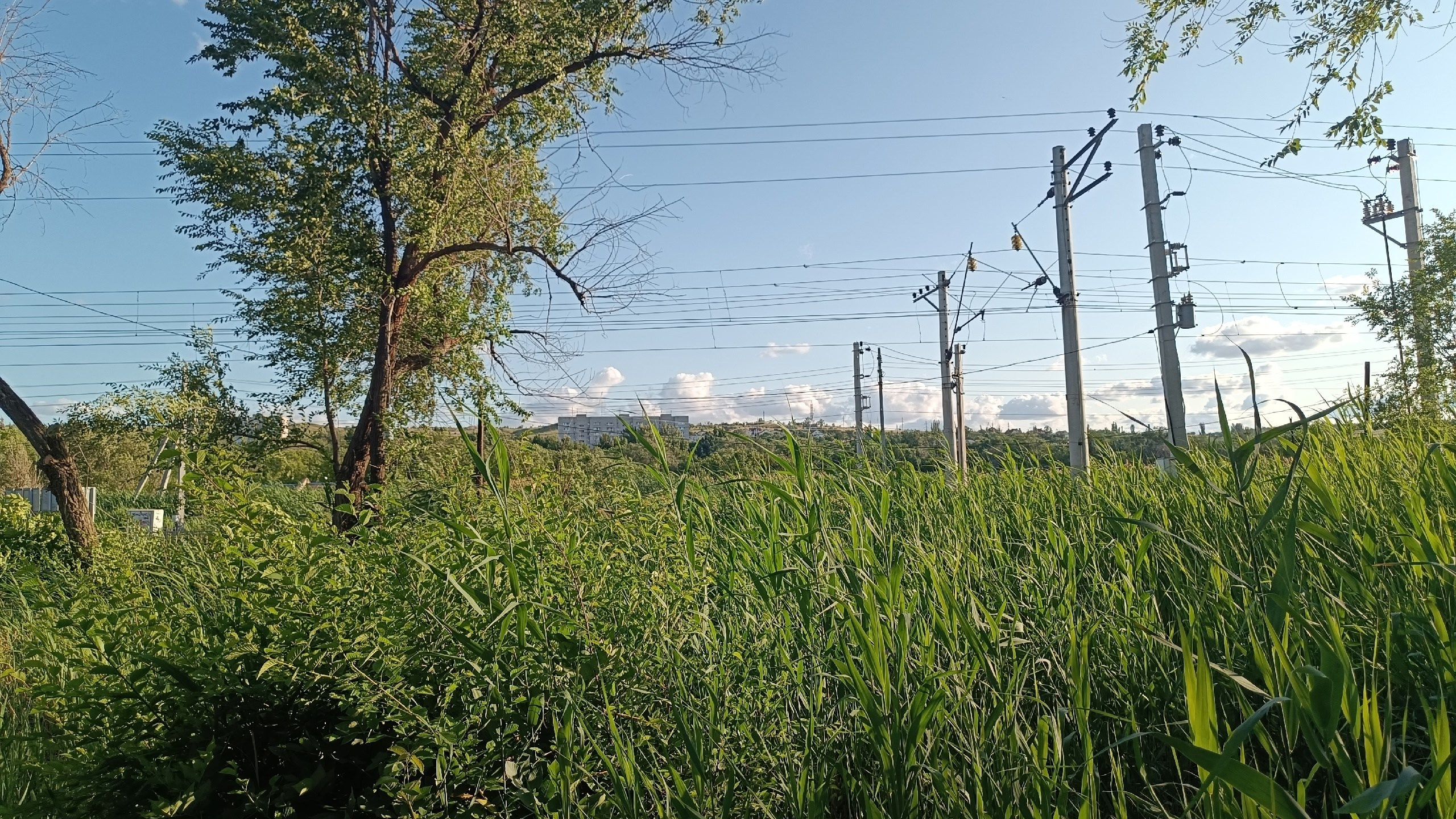 Читальный зал. Марина Рыбкина — Глубинная психология