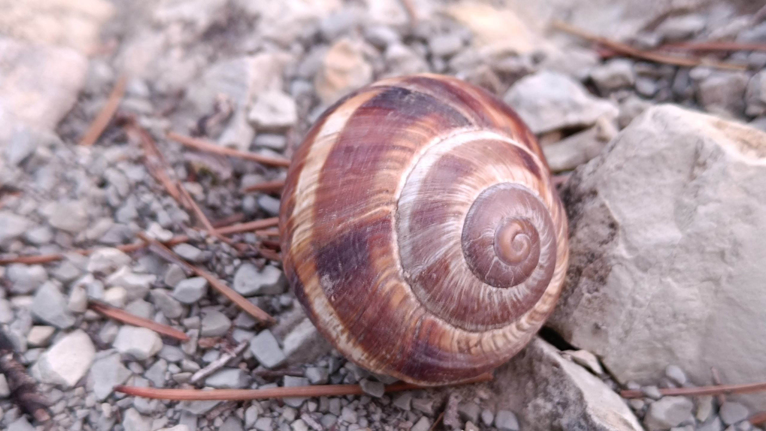 Читальный зал. Марина Рыбкина — Глубинная психология