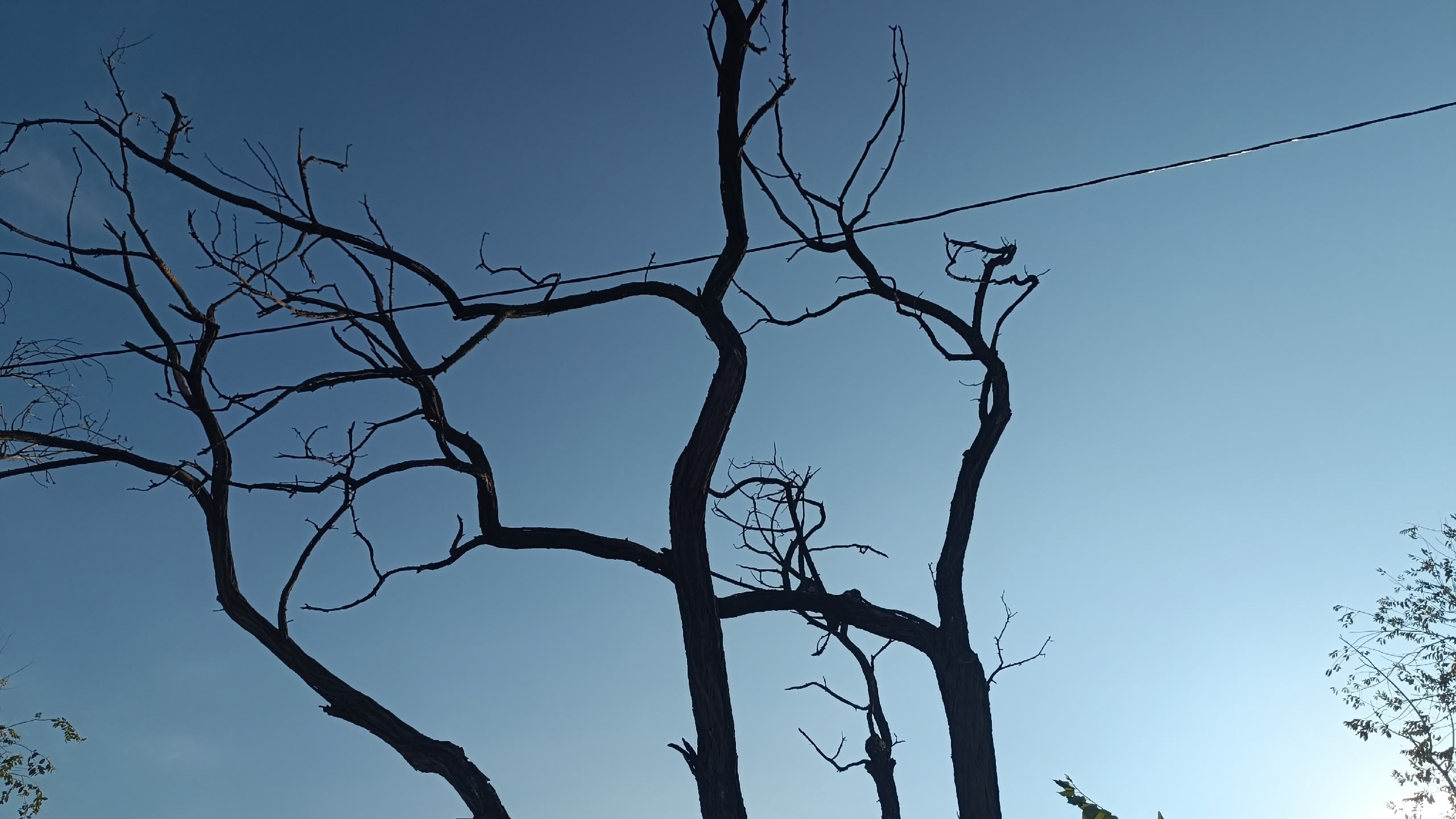 Читальный зал. Марина Рыбкина — Глубинная психология