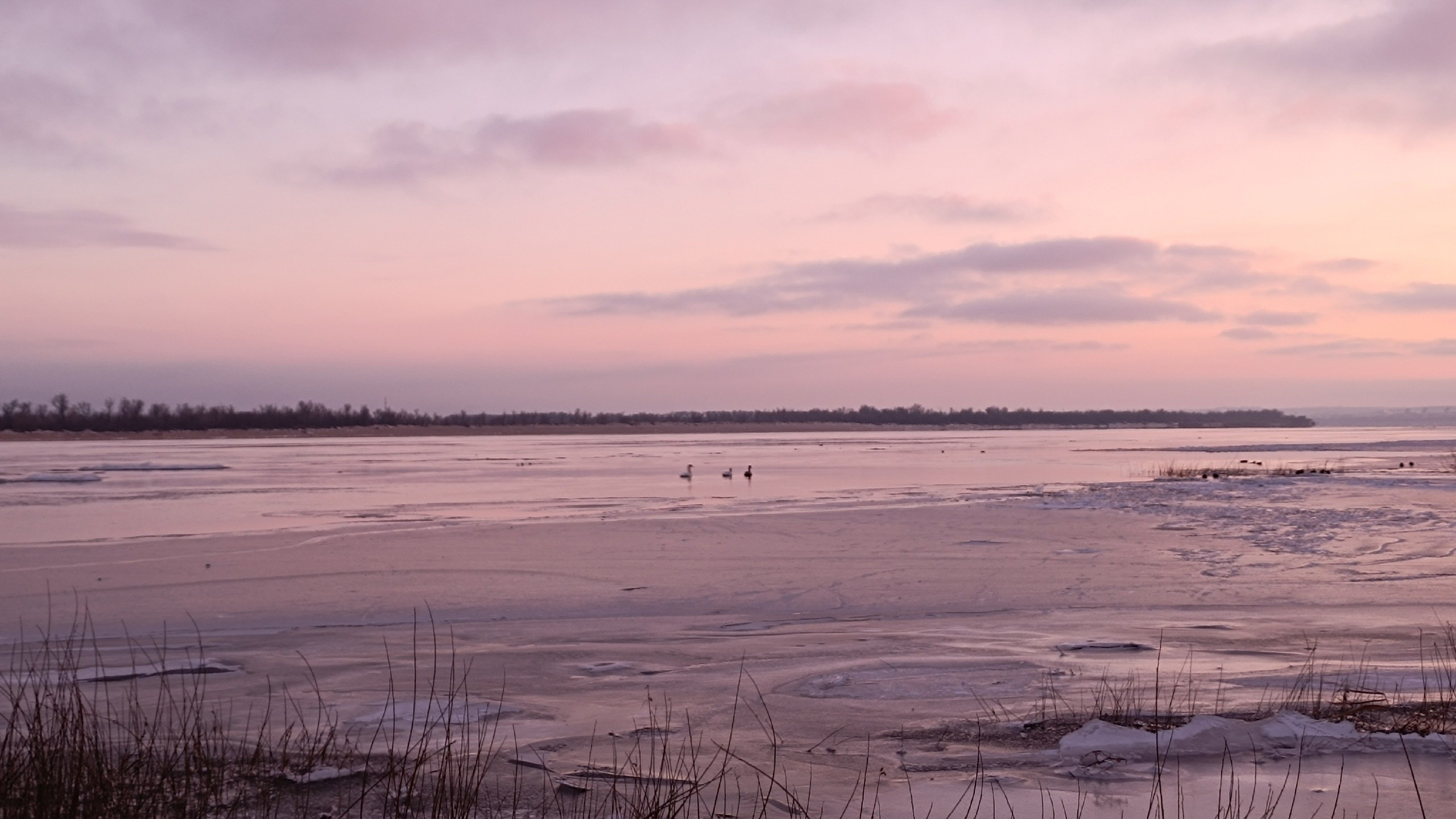 Читальный зал. Марина Рыбкина — Глубинная психология
