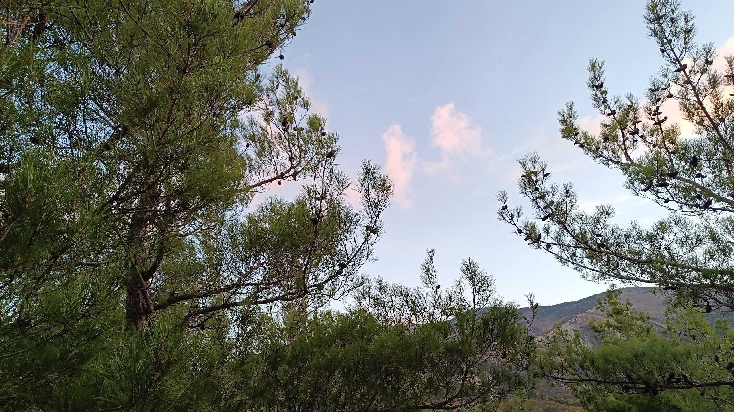 Читальный зал. Марина Рыбкина — Глубинная психология