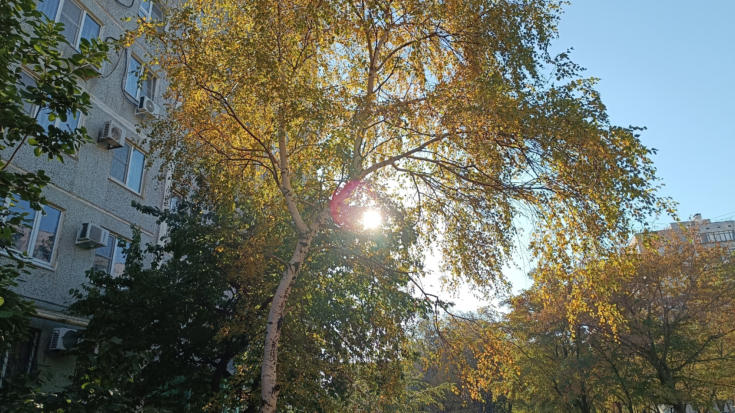 Читальный зал. Марина Рыбкина — Глубинная психология