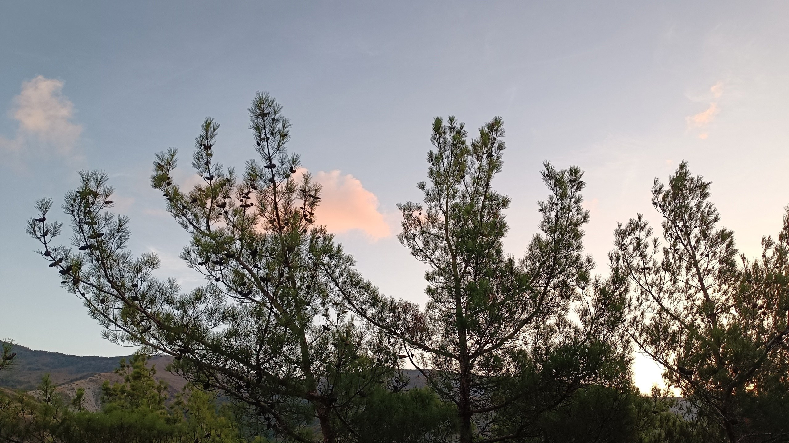 Читальный зал. Марина Рыбкина — Глубинная психология