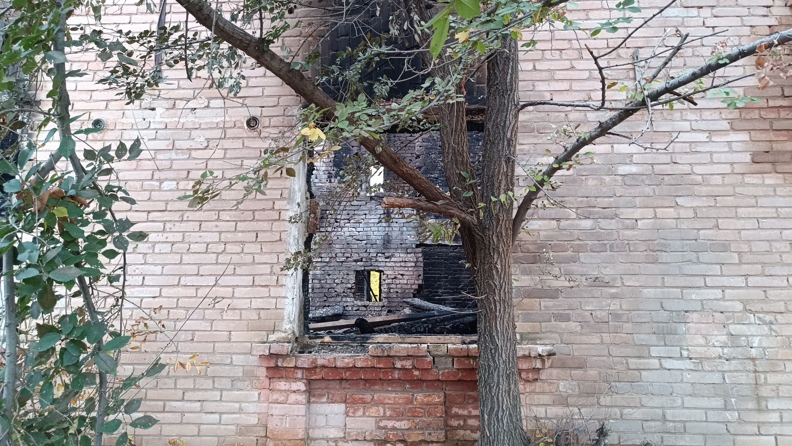 Читальный зал. Марина Рыбкина — Глубинная психология