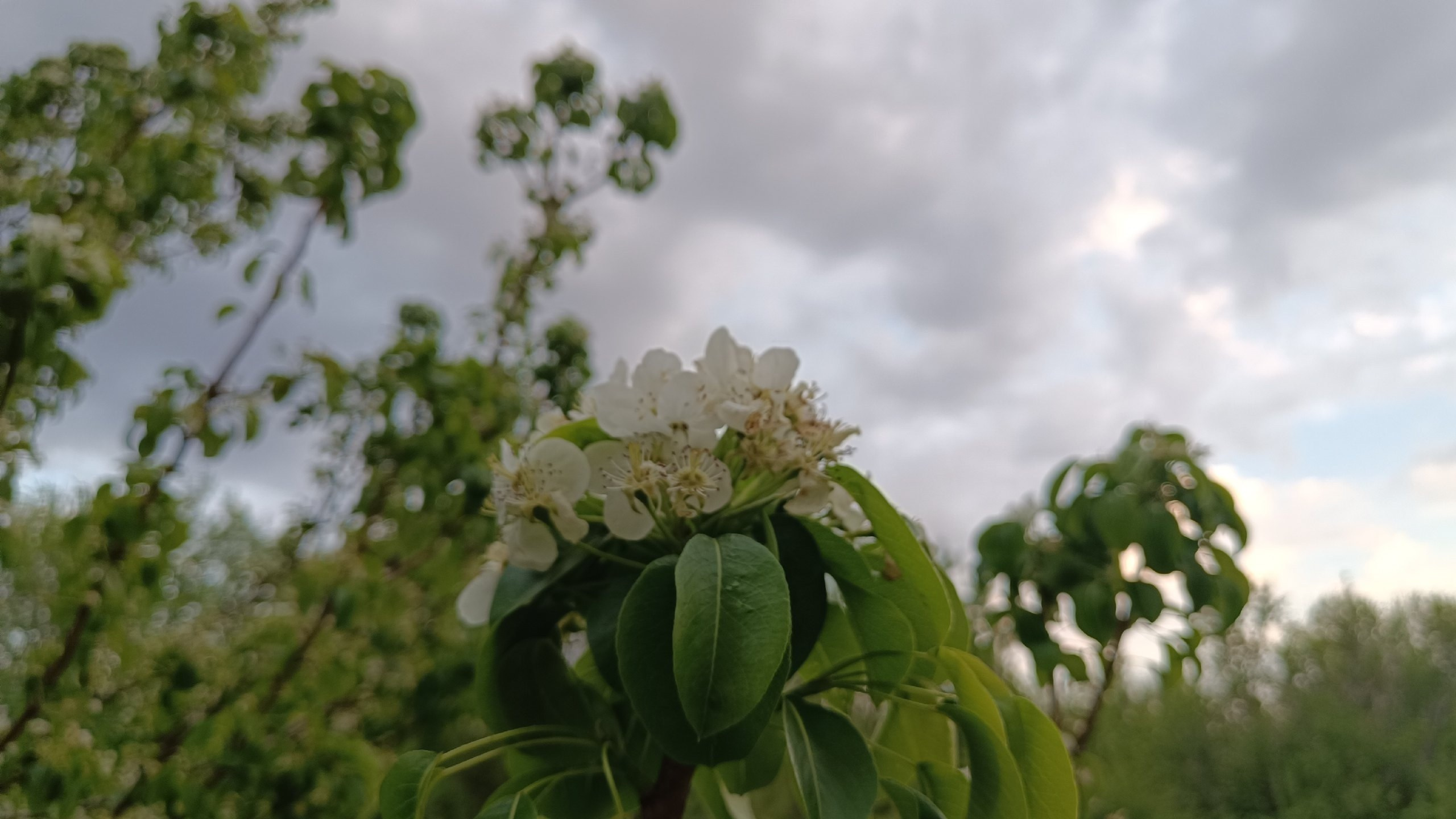 Читальный зал. Марина Рыбкина — Глубинная психология