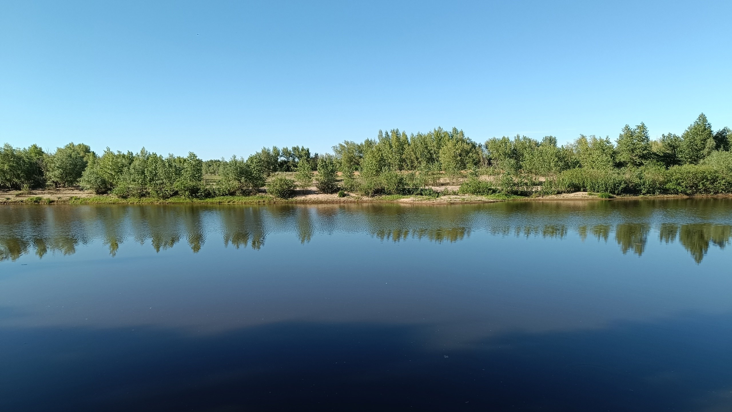 Читальный зал. Марина Рыбкина — Глубинная психология