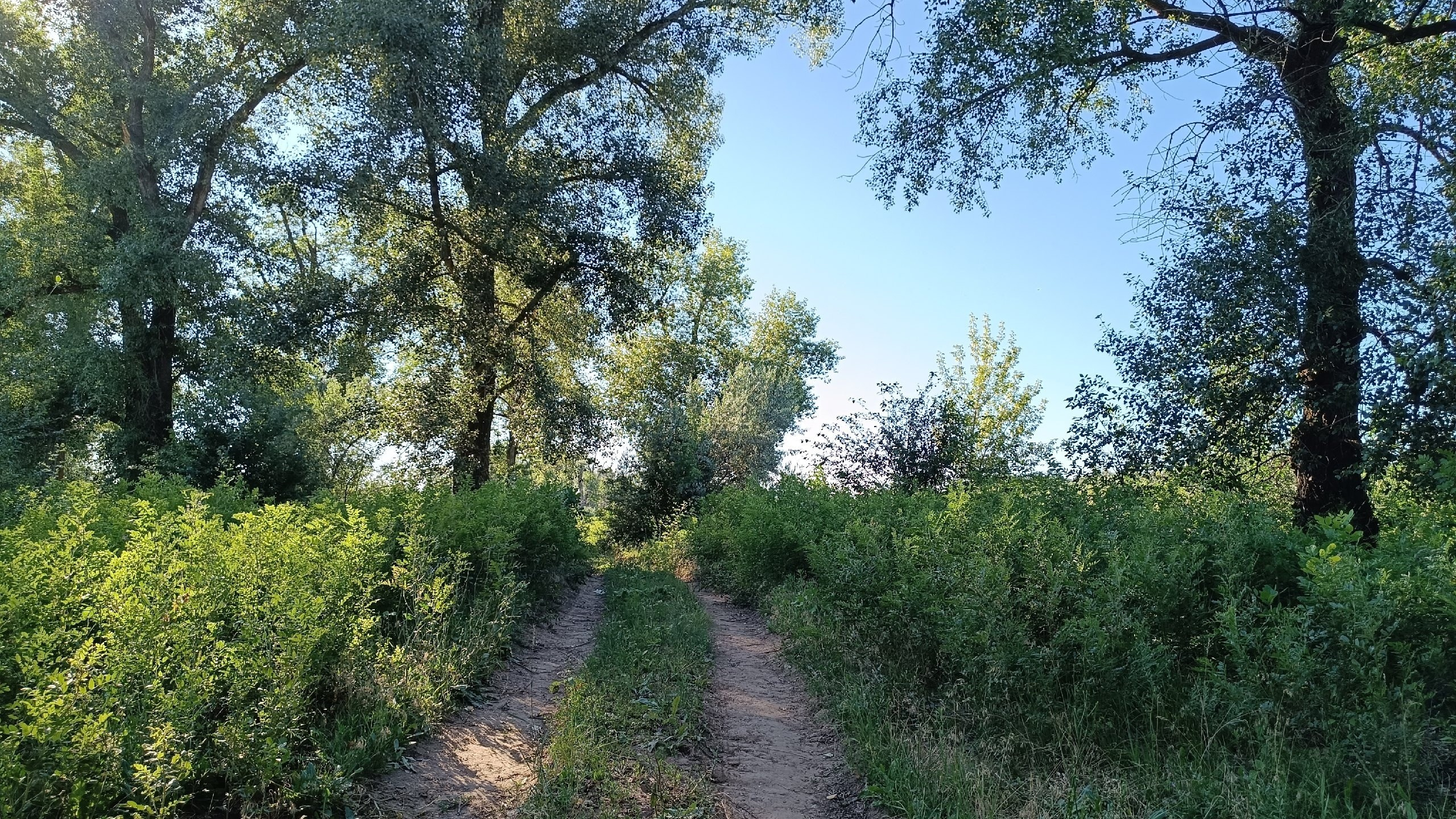 Читальный зал. Марина Рыбкина — Глубинная психология