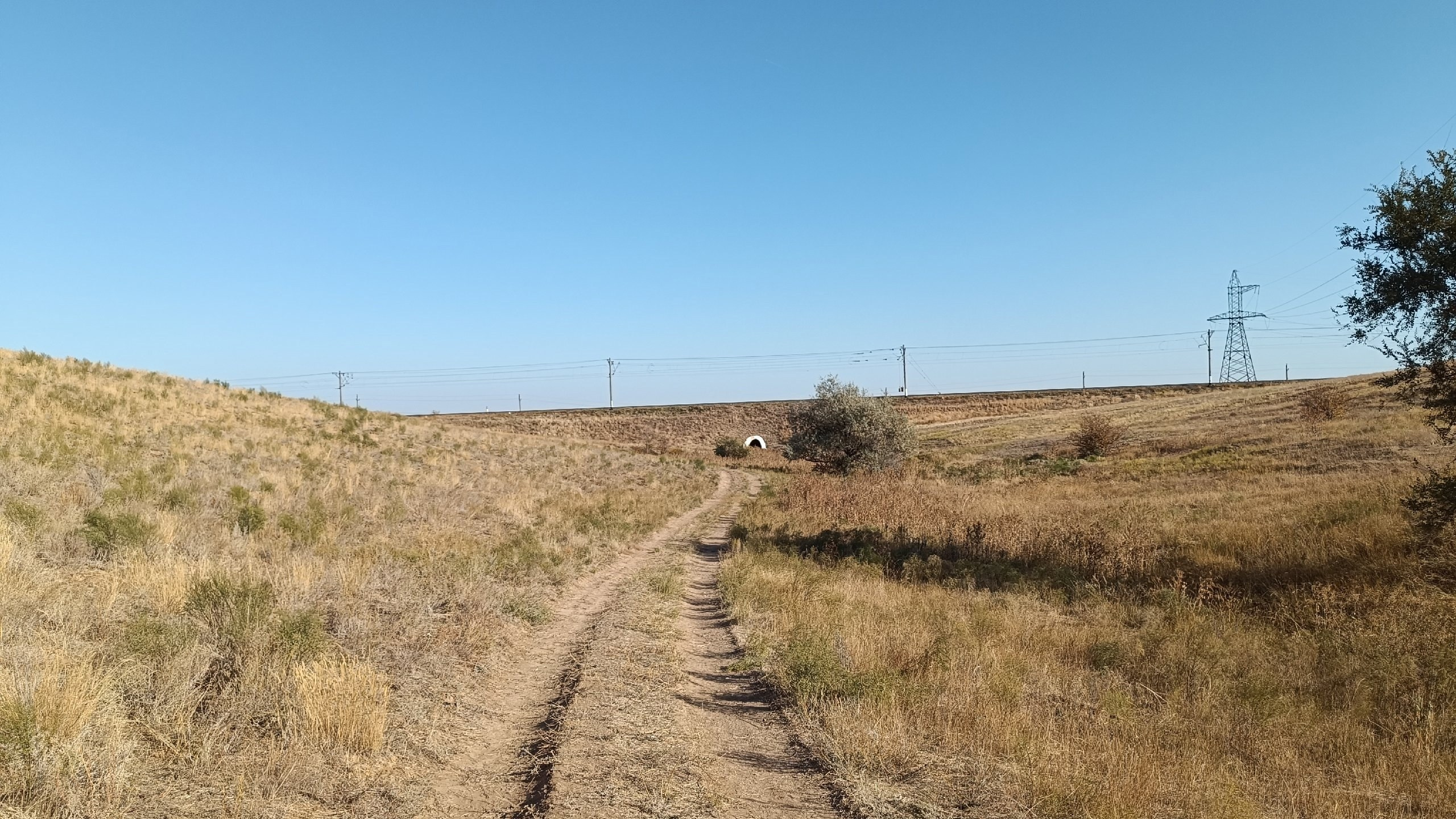 Читальный зал. Марина Рыбкина — Глубинная психология