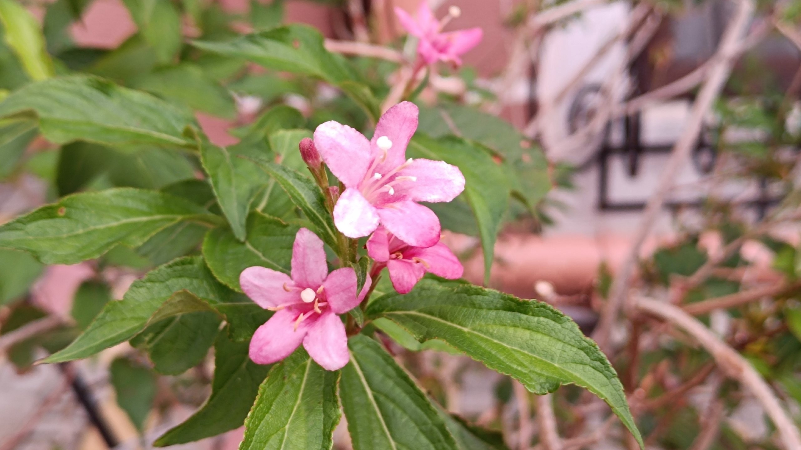 Читальный зал. Марина Рыбкина — Глубинная психология