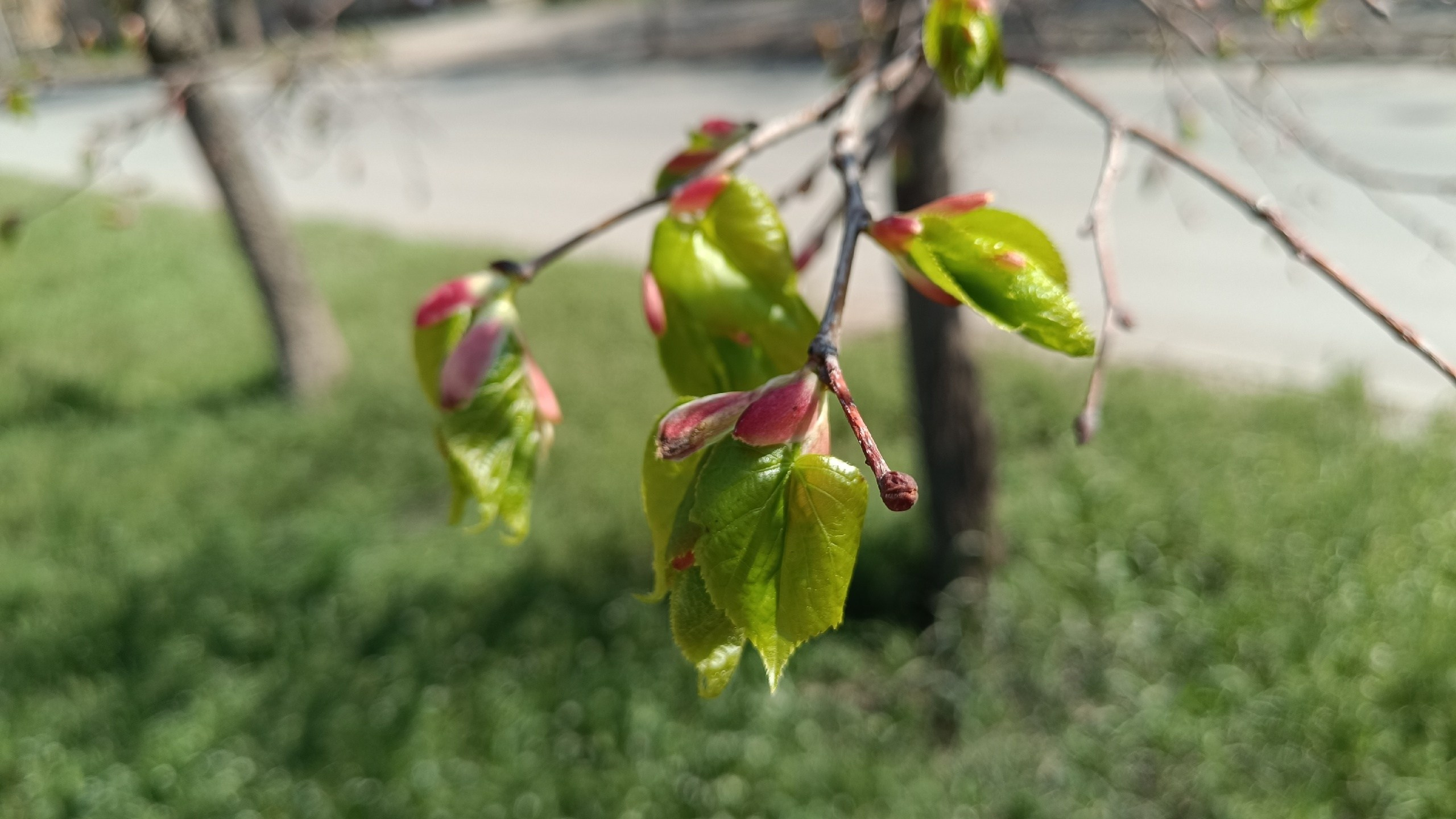 Читальный зал. Марина Рыбкина — Глубинная психология