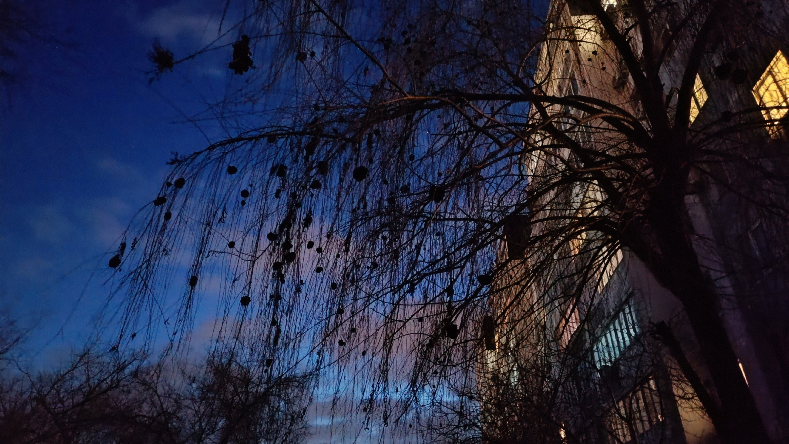 Читальный зал. Марина Рыбкина — Глубинная психология