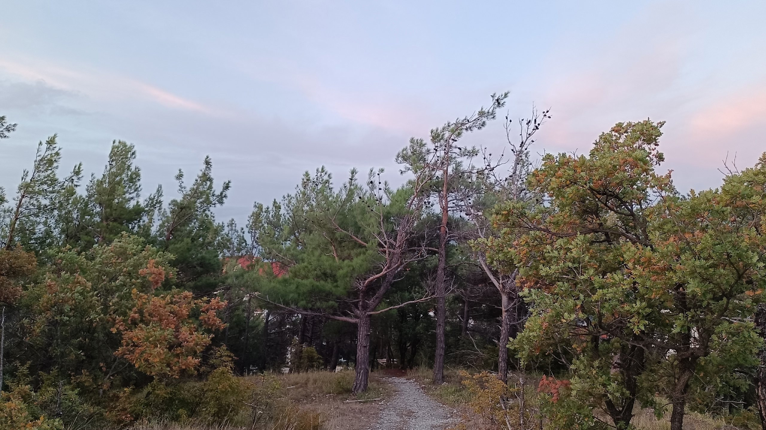 Читальный зал. Марина Рыбкина — Глубинная психология