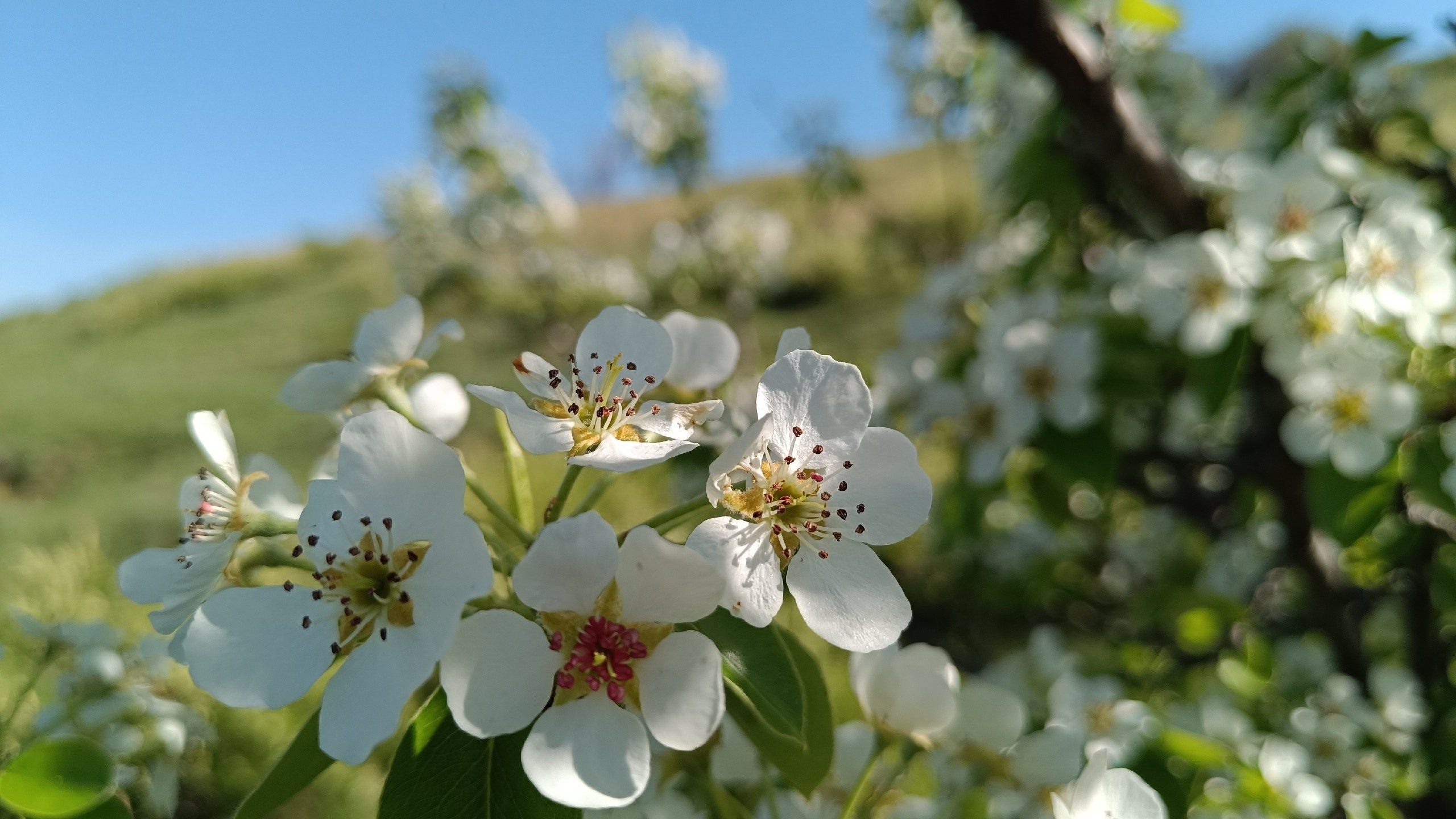 Читальный зал. Марина Рыбкина — Глубинная психология