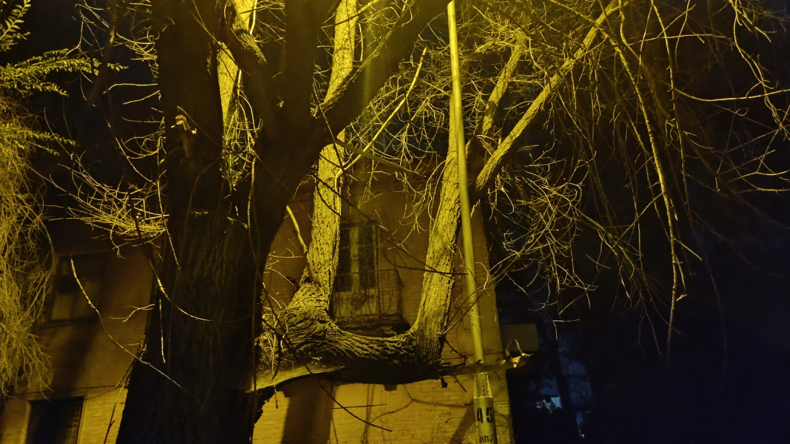 Читальный зал. Марина Рыбкина — Глубинная психология