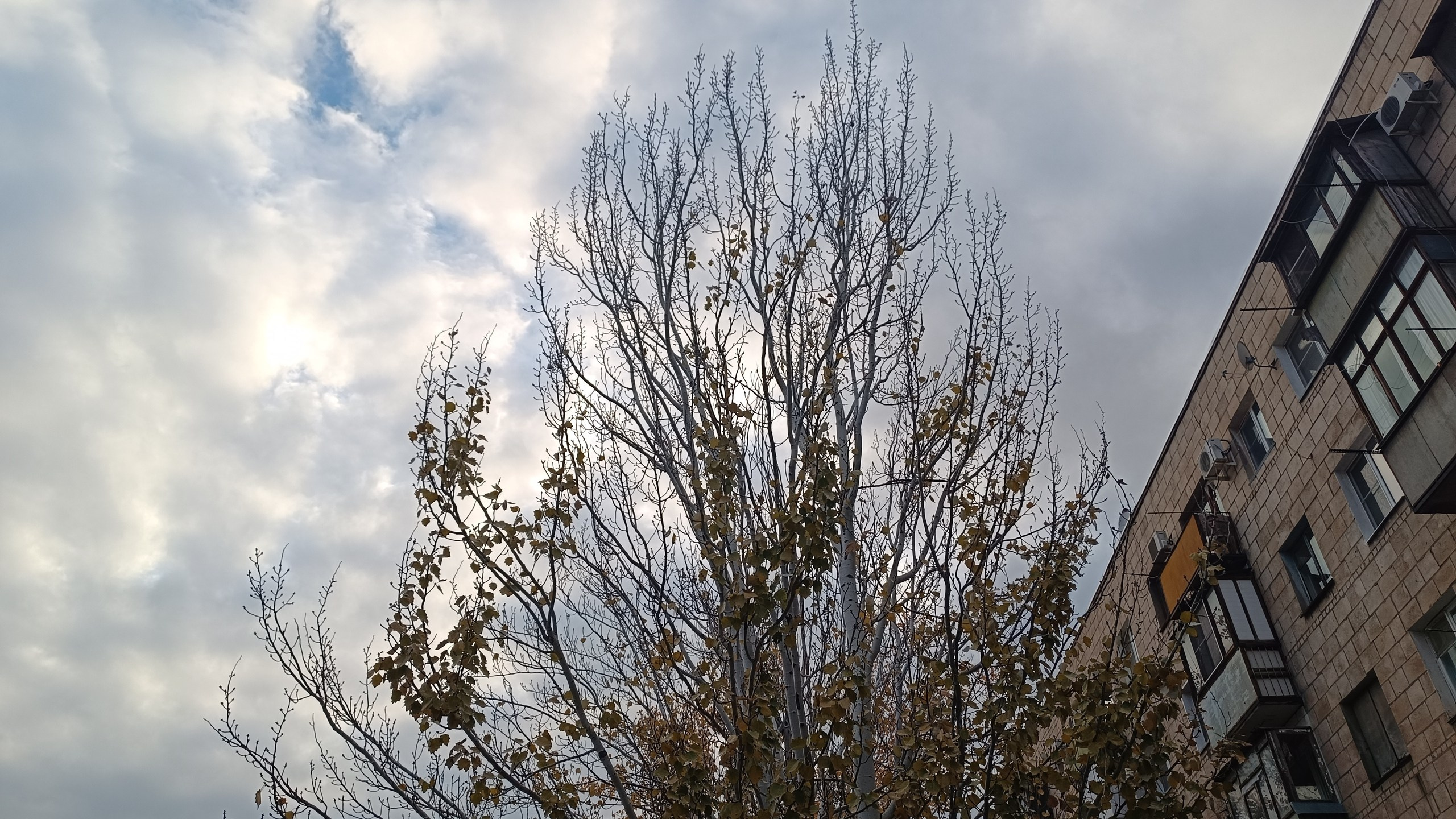 Читальный зал. Марина Рыбкина — Глубинная психология