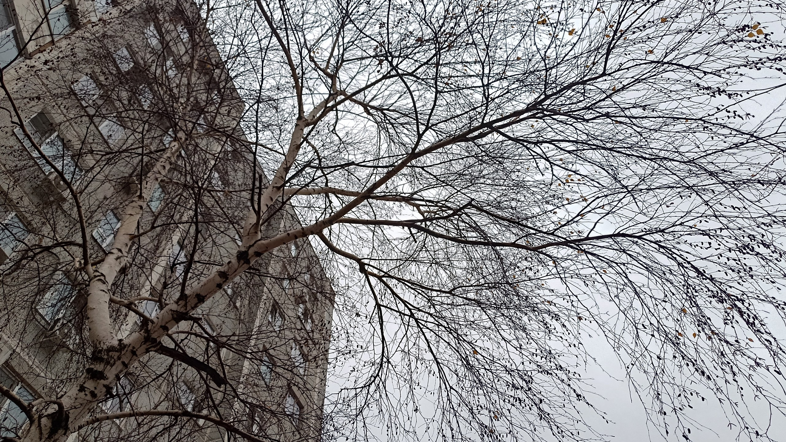 Читальный зал. Марина Рыбкина — Глубинная психология