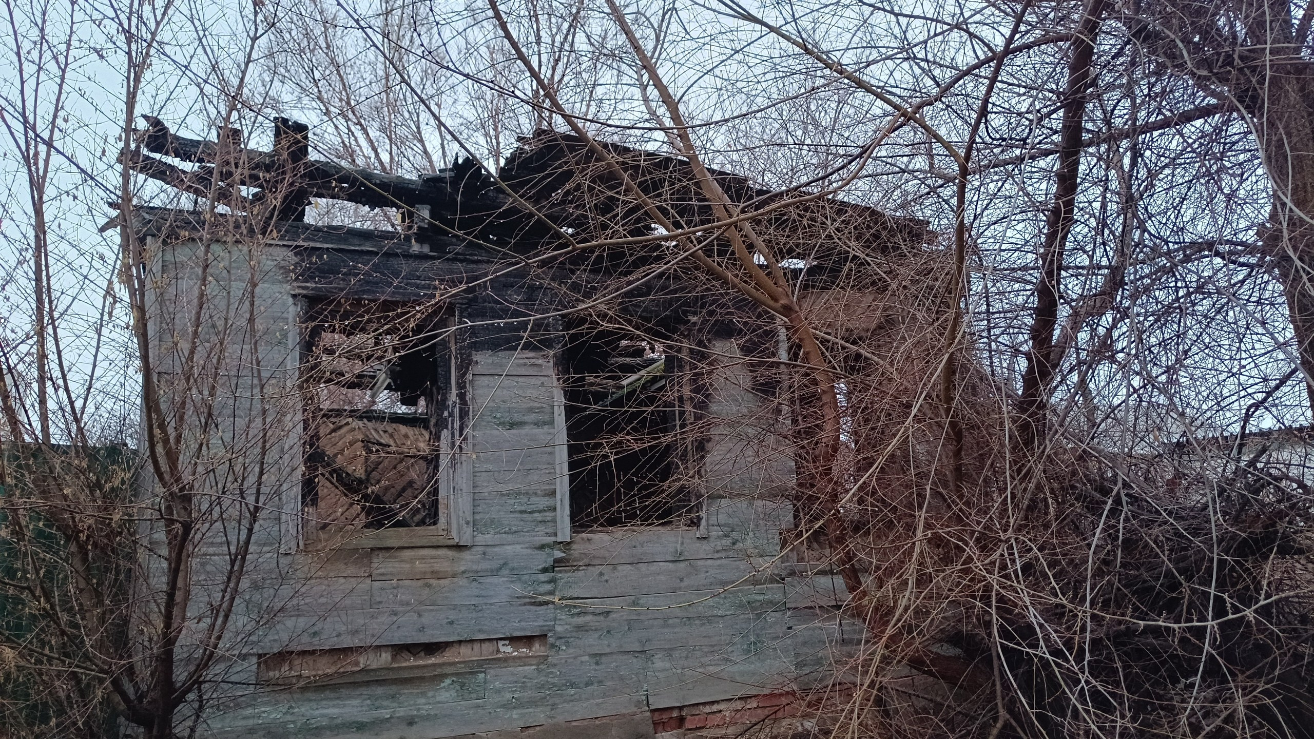 Читальный зал. Марина Рыбкина — Глубинная психология