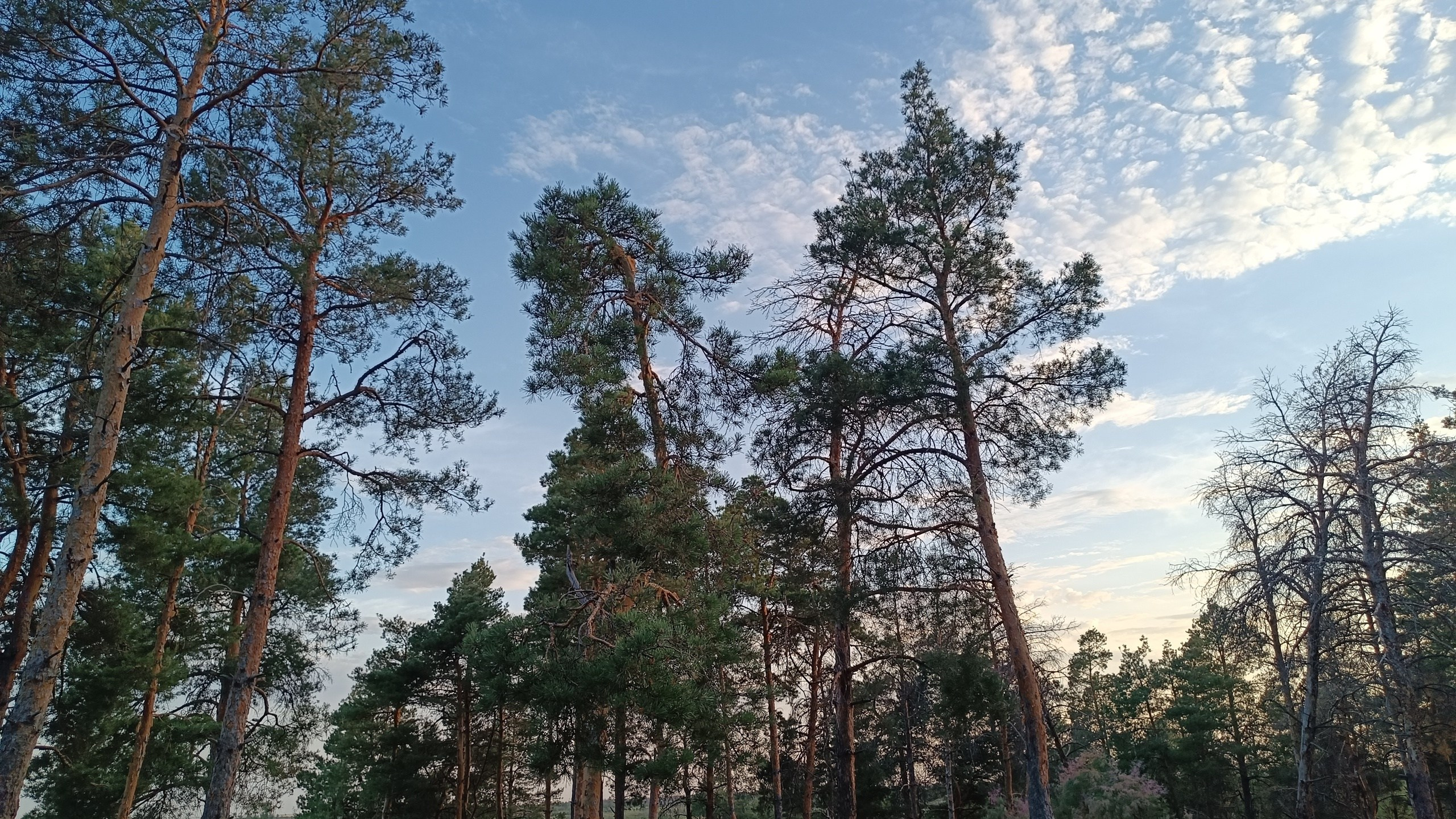 Читальный зал. Марина Рыбкина — Глубинная психология