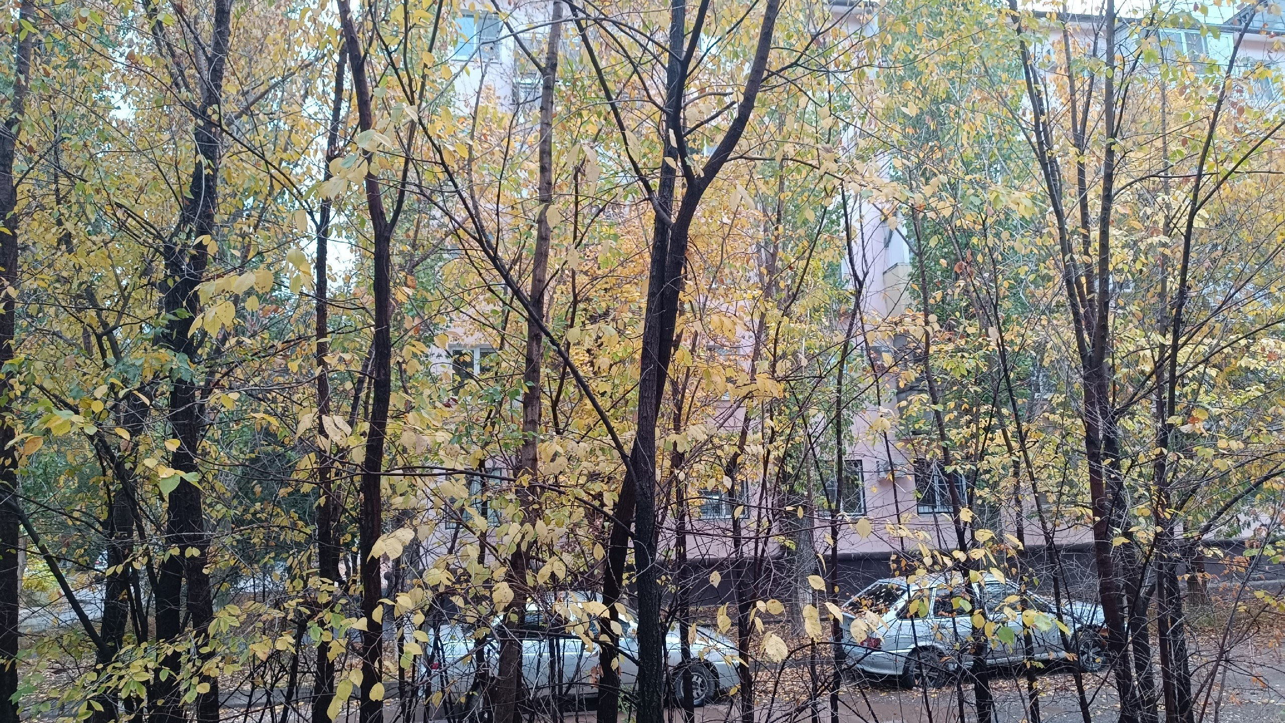 Читальный зал. Марина Рыбкина — Глубинная психология