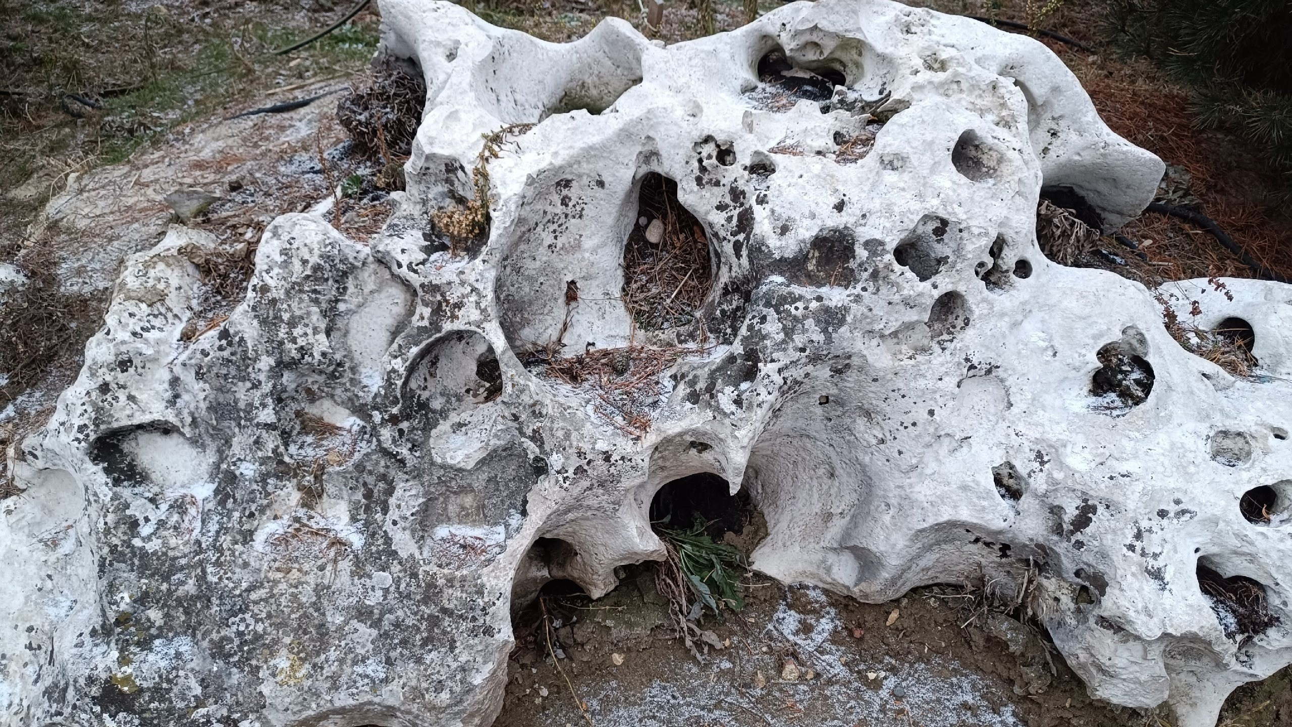 Читальный зал. Марина Рыбкина — Глубинная психология