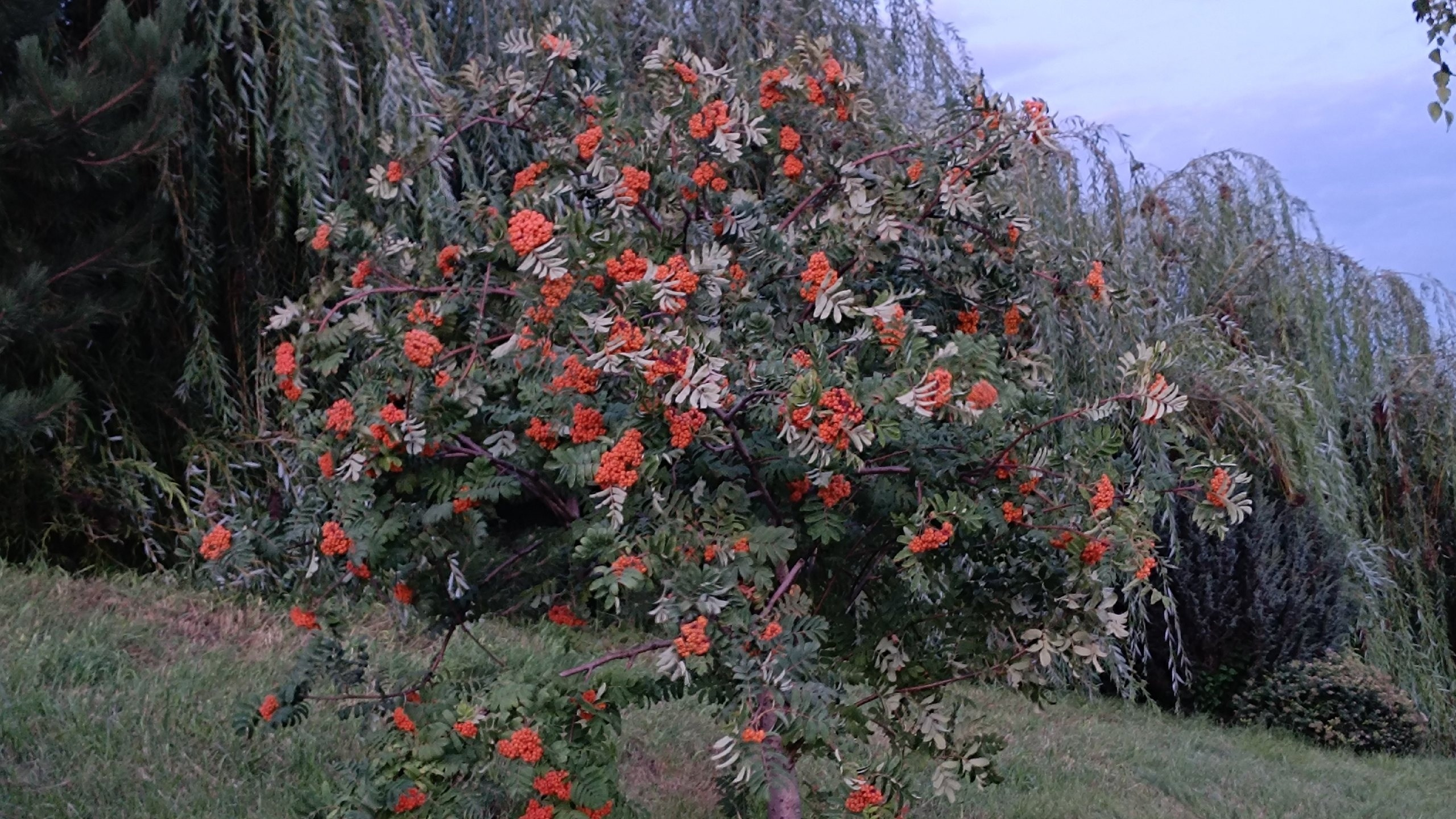 Читальный зал. Марина Рыбкина — Глубинная психология