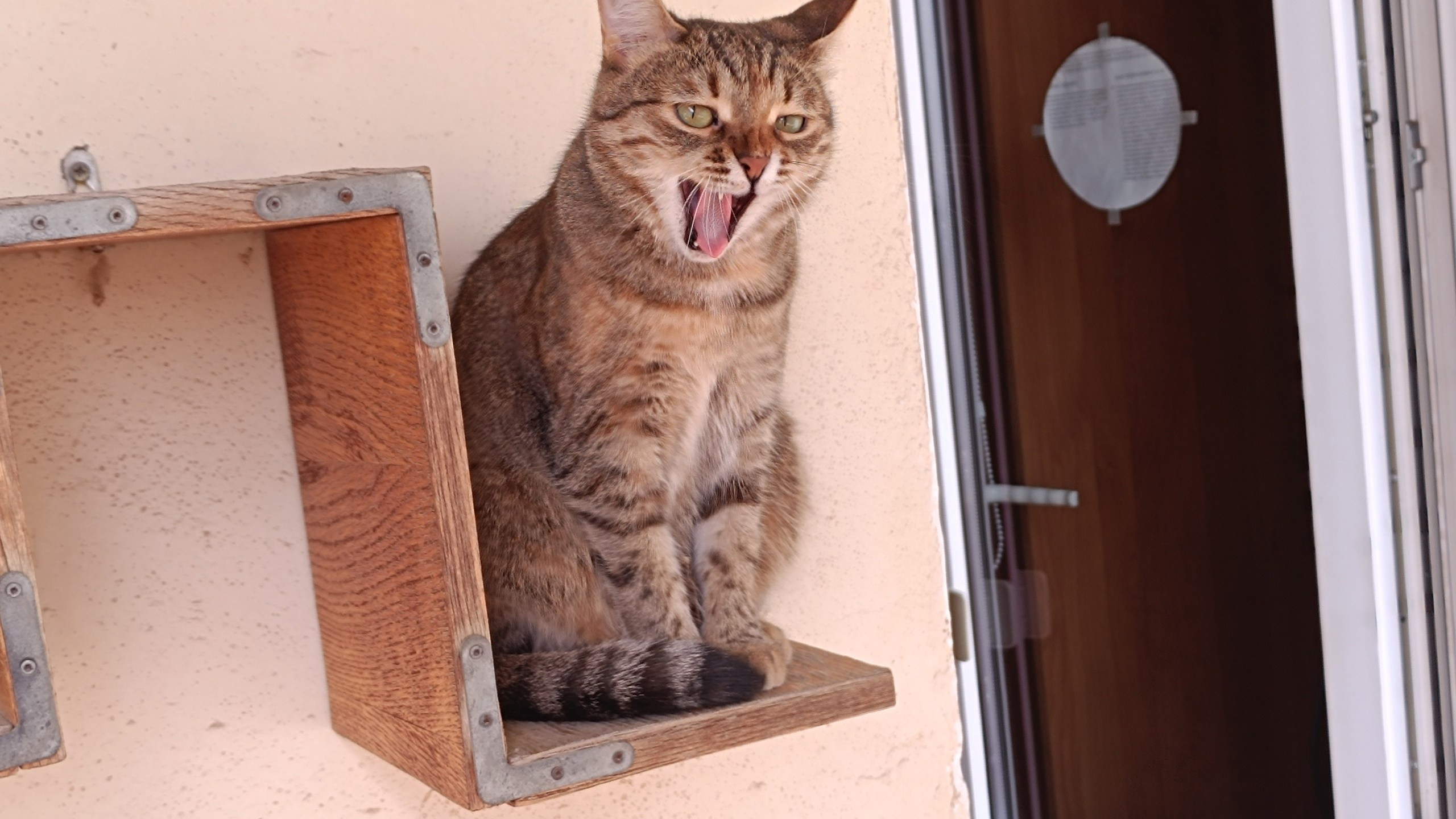 Юмор. Марина Рыбкина — Глубинная психология