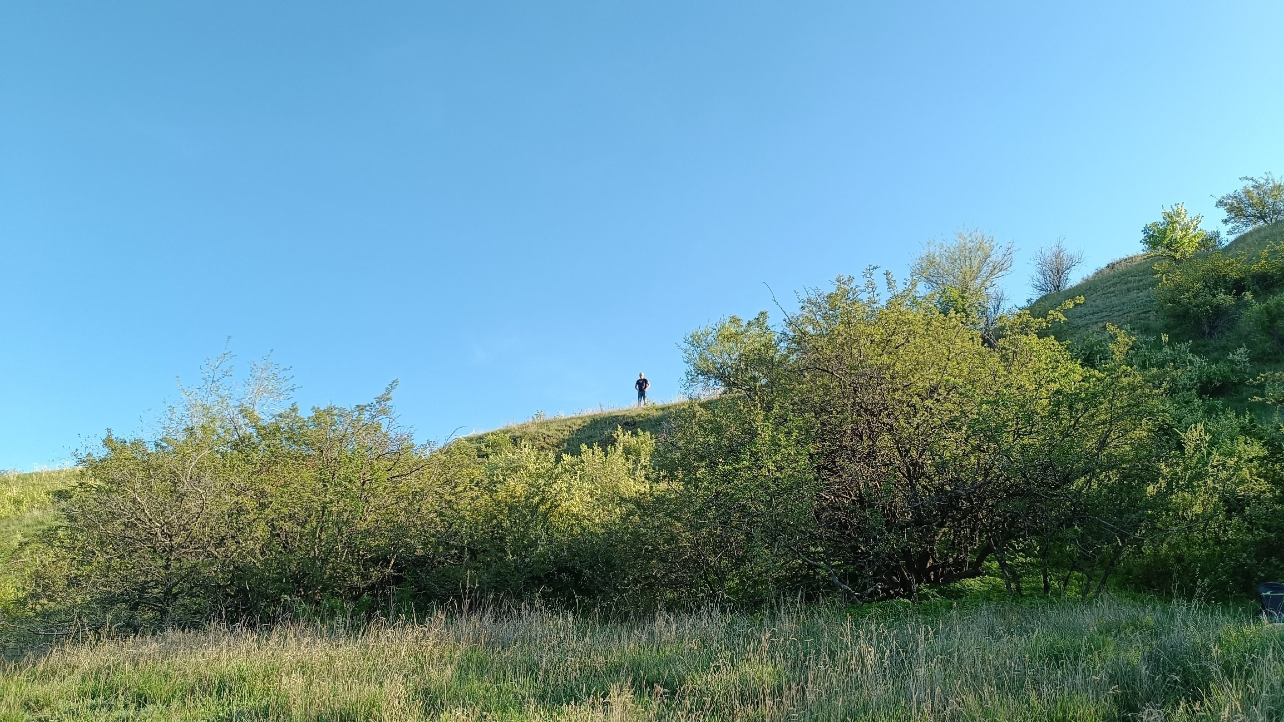 Читальный зал. Марина Рыбкина — Глубинная психология