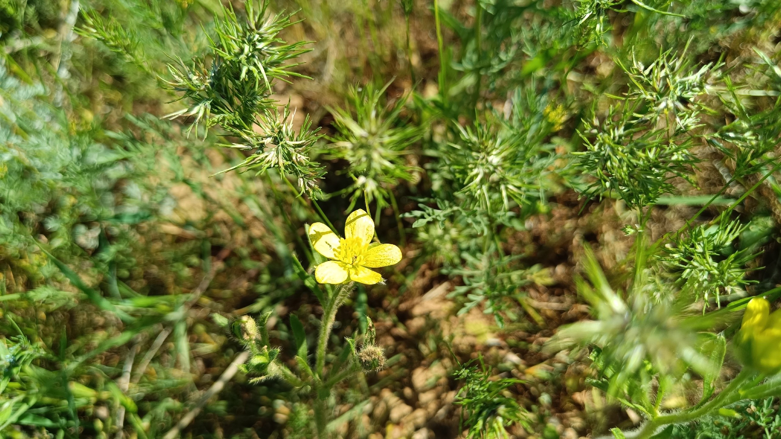 Читальный зал. Марина Рыбкина — Глубинная психология
